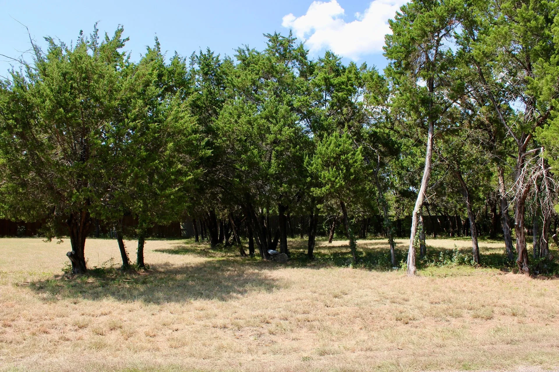 Expansive grounds featuring mature shade trees and open lawn space, offering abundant natural light and established landscape appeal