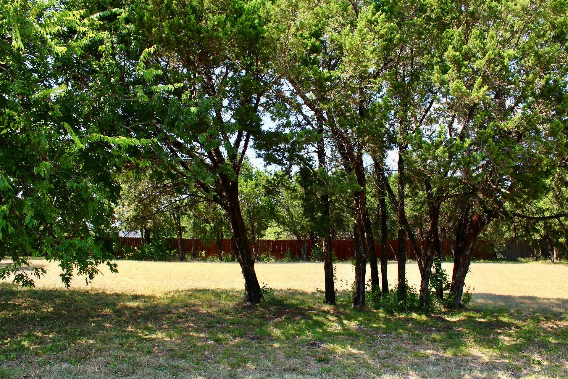 Expansive grounds featuring mature shade trees with established canopy coverage and open lawn space, providing serene outdoor setting