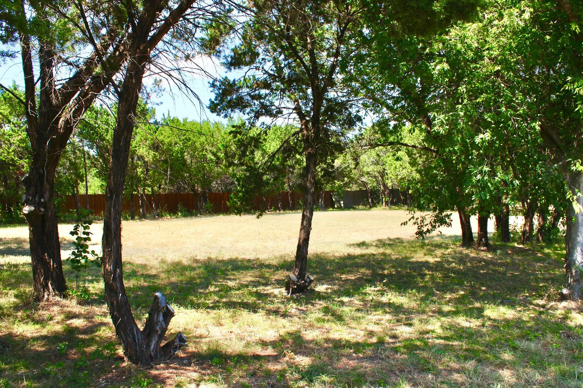 Expansive grounds featuring mature shade trees, open lawn area, and natural tree-lined perimeter