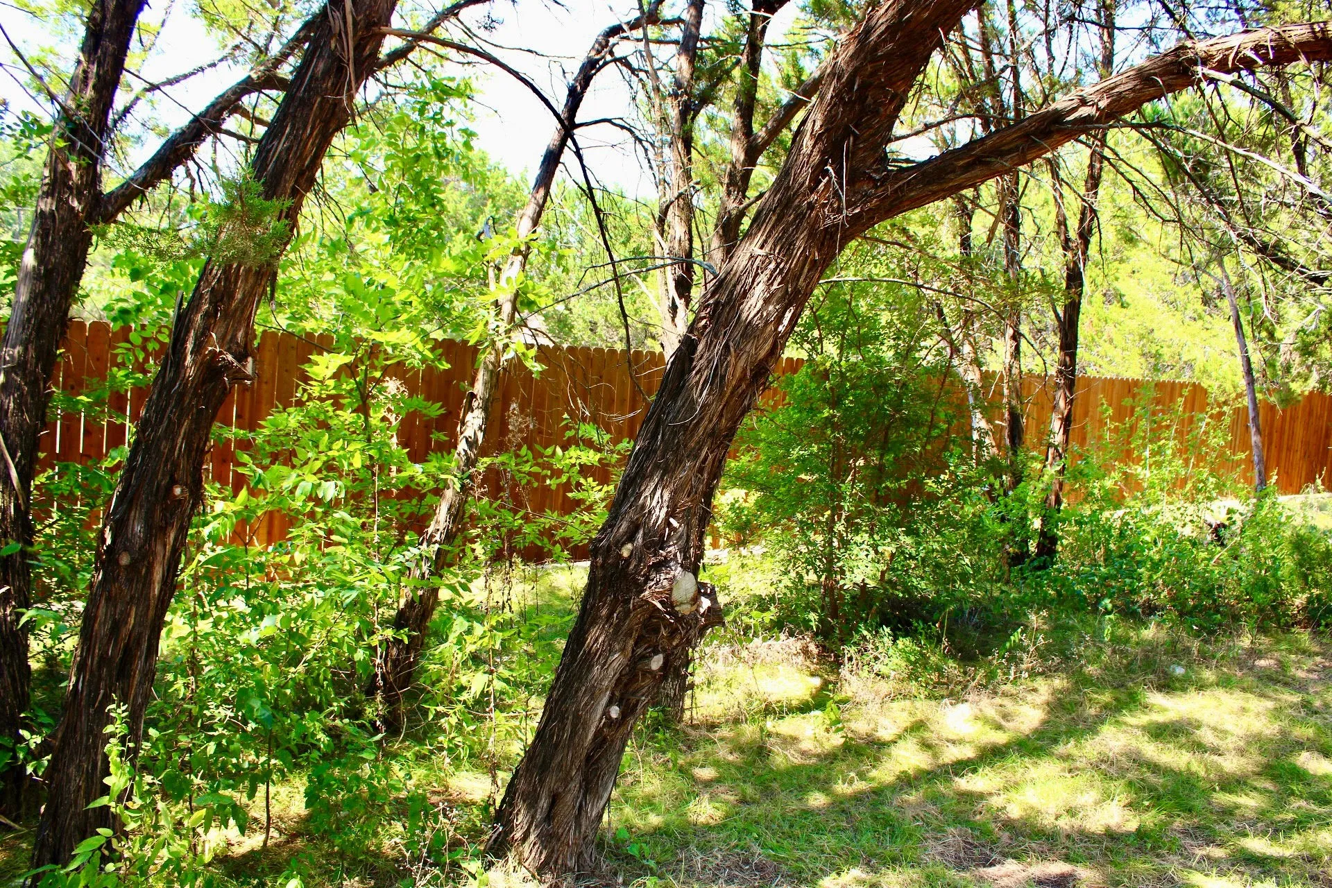 Improved Land For Sale in Johnson County , 4902 Village Drive, Rio Vista, Texas 76093, 0, 0, Garage spaces, 0 Sqft, built in 0, Price $150,000, mls#21355607, Real Estate Agent in Rio Vista, Homes For Sale in Johnson county, Homes For Sale in Rio Vista, Realtor in Rio Vista Texas, Real Estate Brokerage Independent Realty Texas, Luminita Cordes Realtor