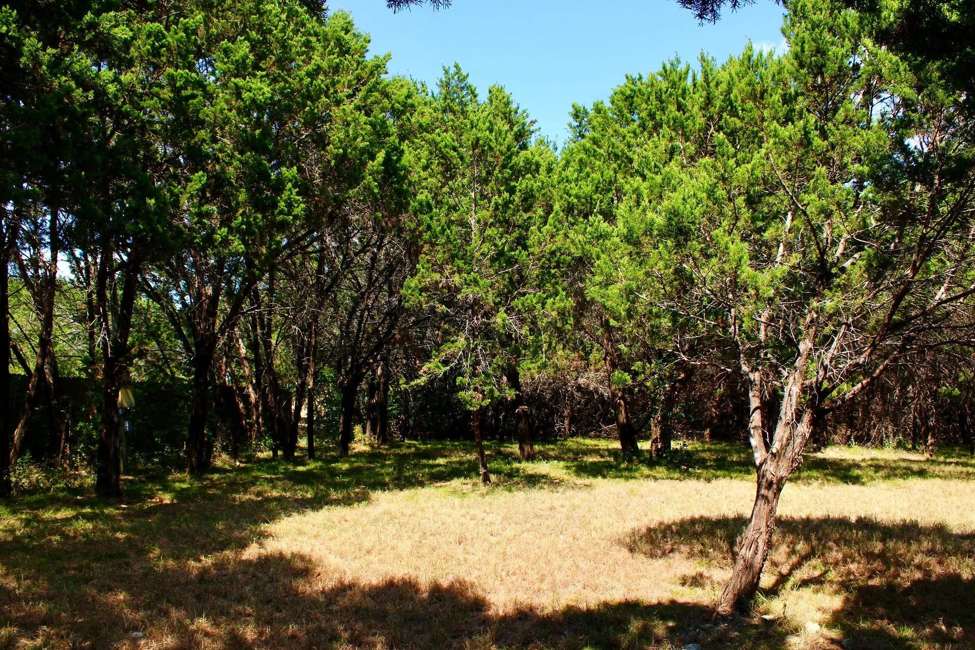 Improved Land For Sale in Johnson County , 4902 Village Drive, Rio Vista, Texas 76093, 0, 0, Garage spaces, 0 Sqft, built in 0, Price $150,000, mls#21355607, Real Estate Agent in Rio Vista, Homes For Sale in Johnson county, Homes For Sale in Rio Vista, Realtor in Rio Vista Texas, Real Estate Brokerage Independent Realty Texas, Luminita Cordes Realtor