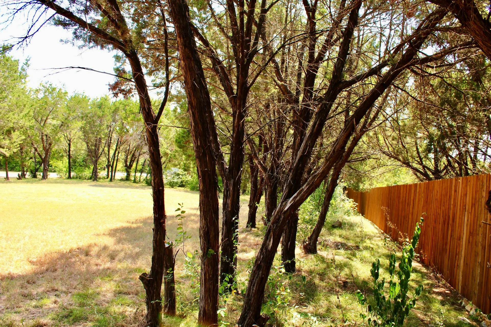 Mature tree-lined grounds featuring expansive open lawn, established shade canopy, and rustic wood perimeter fencing