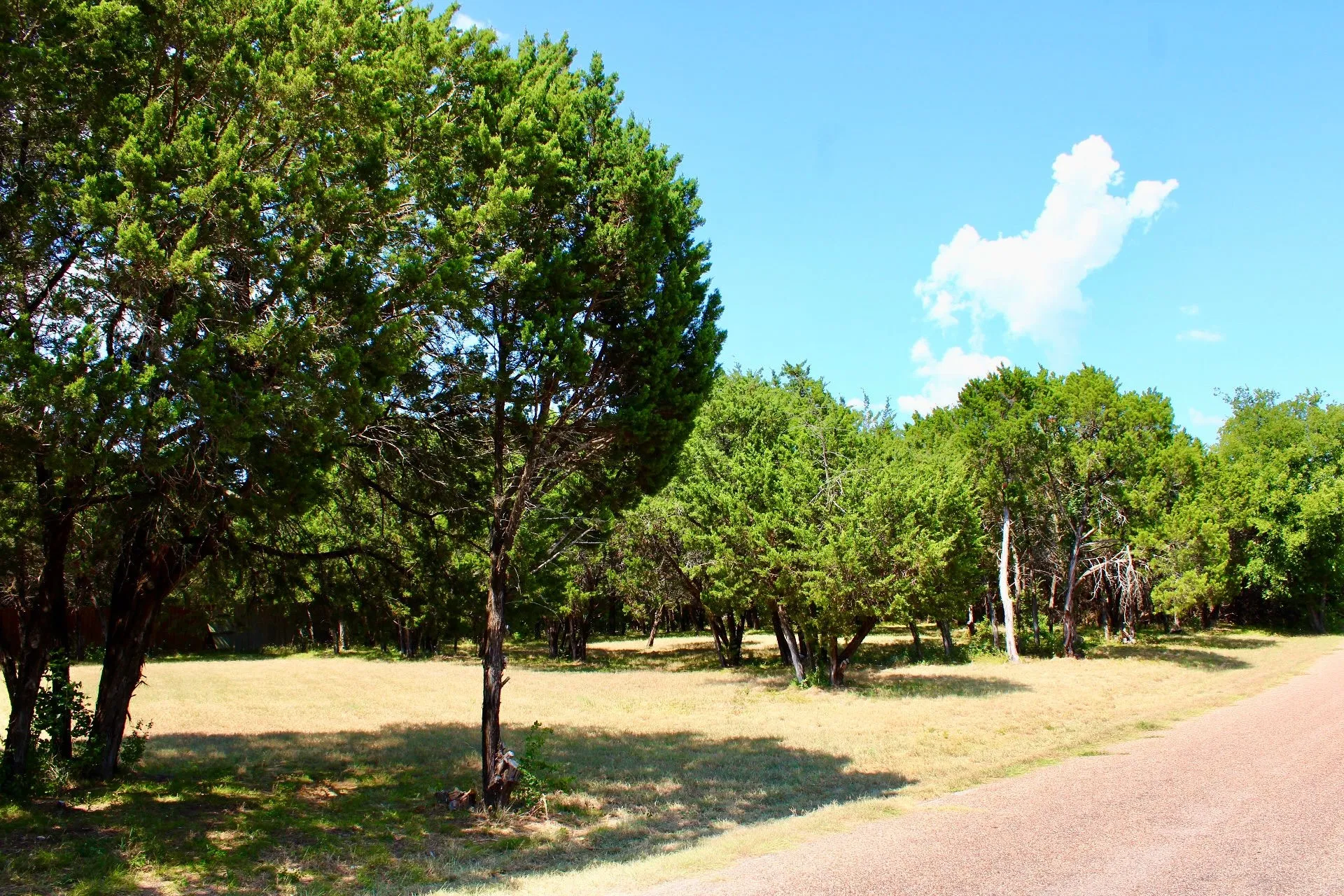 Improved Land For Sale in Johnson County , 4902 Village Drive, Rio Vista, Texas 76093, 0, 0, Garage spaces, 0 Sqft, built in 0, Price $150,000, mls#21355607, Real Estate Agent in Rio Vista, Homes For Sale in Johnson county, Homes For Sale in Rio Vista, Realtor in Rio Vista Texas, Real Estate Brokerage Independent Realty Texas, Luminita Cordes Realtor