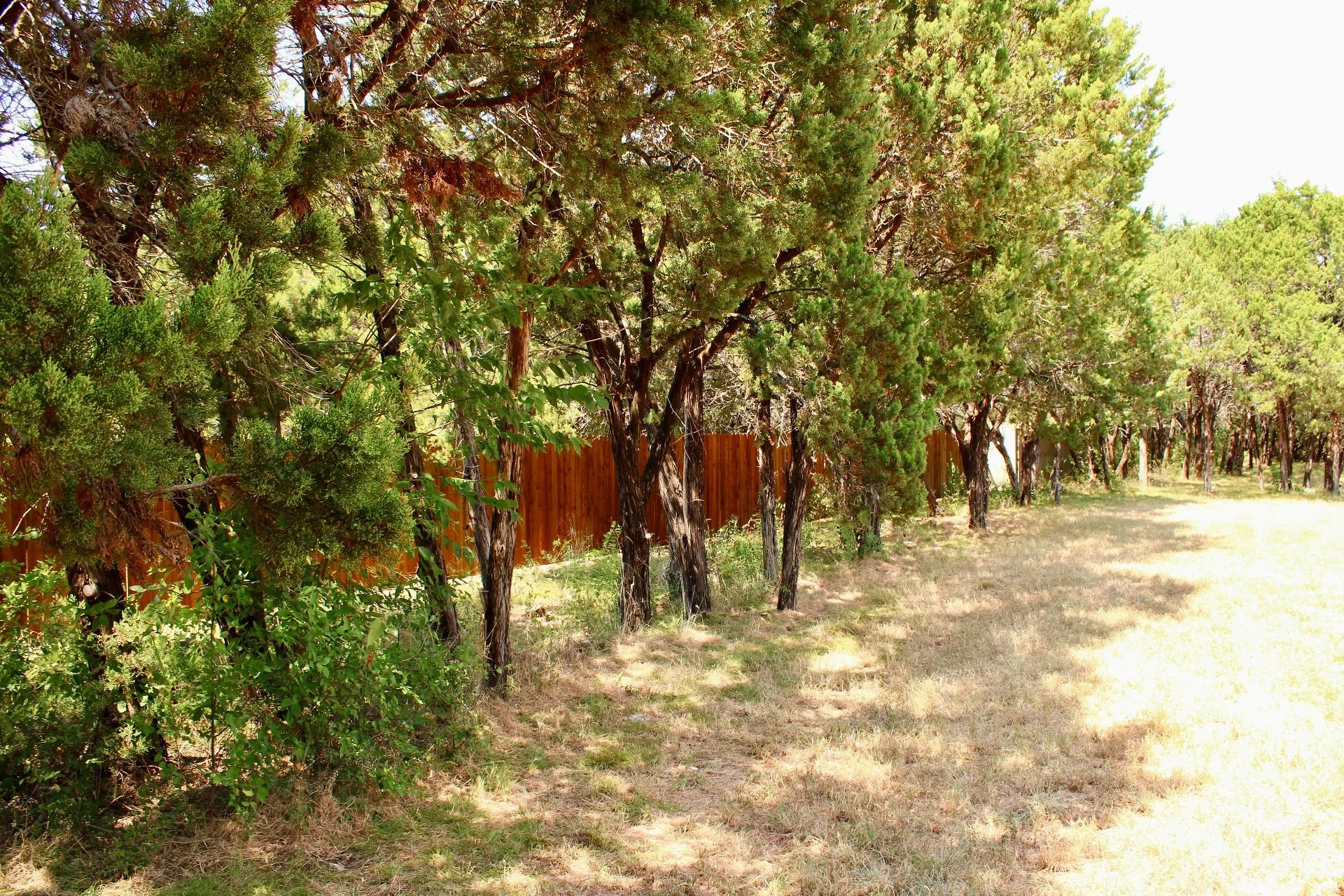 Improved Land For Sale in Johnson County , 4902 Village Drive, Rio Vista, Texas 76093, 0, 0, Garage spaces, 0 Sqft, built in 0, Price $150,000, mls#21355607, Real Estate Agent in Rio Vista, Homes For Sale in Johnson county, Homes For Sale in Rio Vista, Realtor in Rio Vista Texas, Real Estate Brokerage Independent Realty Texas, Luminita Cordes Realtor