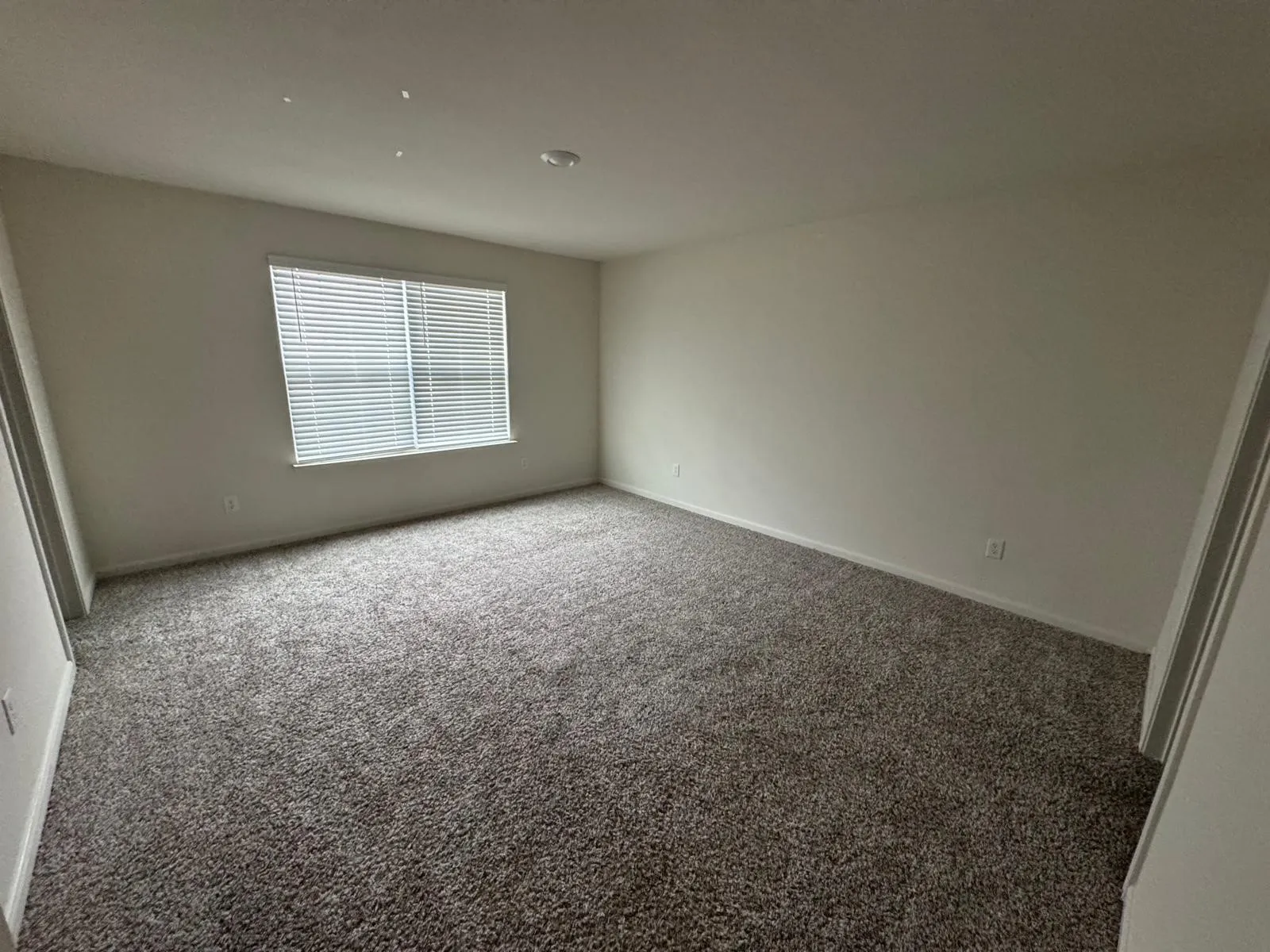 Single Family Residence For Rent in Collin County , 315 Marsh Lane, Princeton, Texas 75407, 3 Bedroom, 3 Bathroom, 2 Garage spaces, 1,586 Sqft, built in 2022, mls#21355654, Real Estate Agent in Princeton, Homes For Rent in Collin county, Homes For Rent in Princeton, Realtor in Princeton Texas, Real Estate Brokerage Independent Realty Texas, Luminita Cordes Realtor