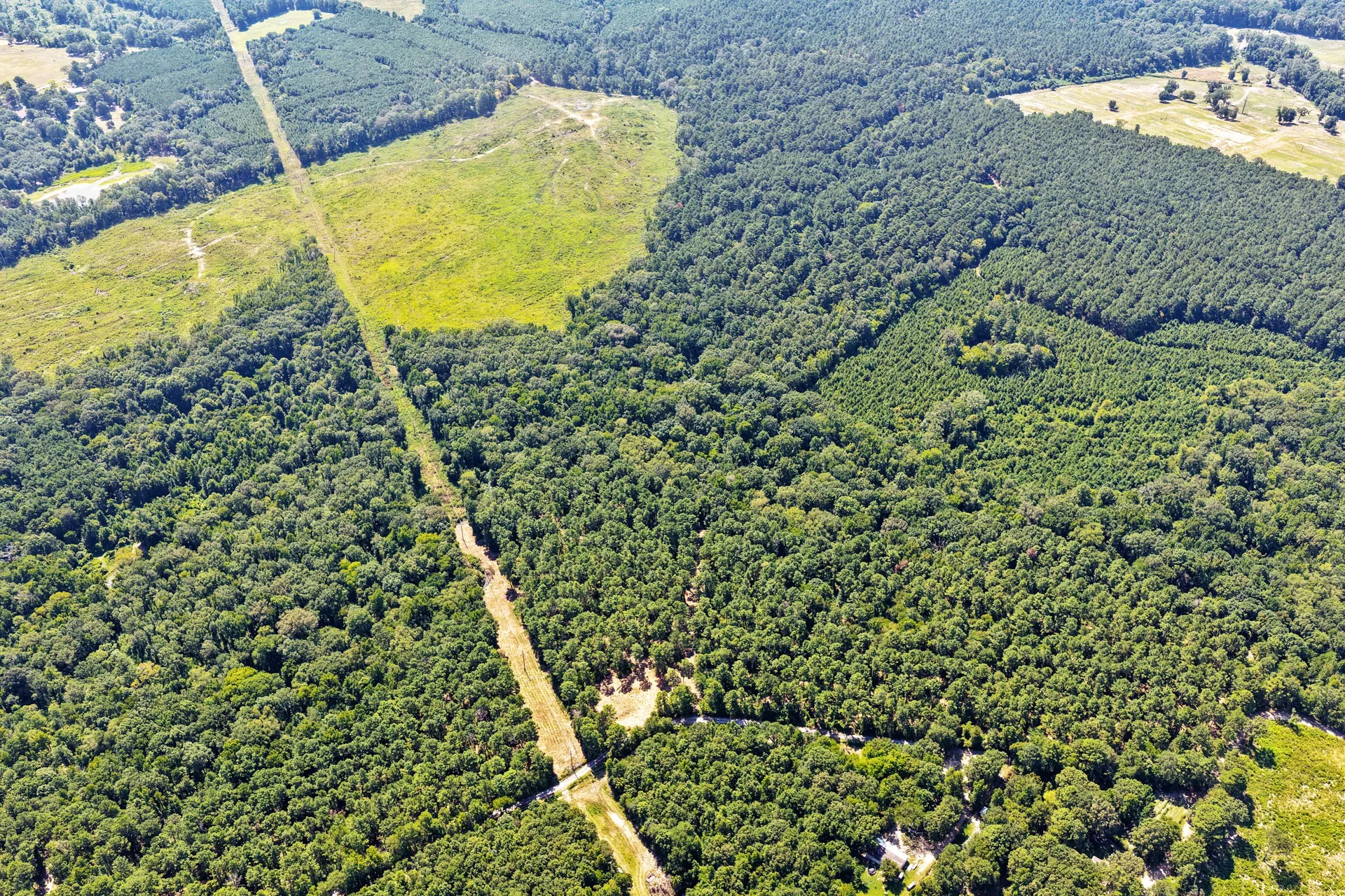 Unimproved Land For Sale in Camp County , Lot 1 County Road 1240, Pittsburg, Texas 75686, 0, 0, Garage spaces, 0 Sqft, built in 0, Price $87,805, mls#21355664, Real Estate Agent in Pittsburg, Homes For Sale in Camp county, Homes For Sale in Pittsburg, Realtor in Pittsburg Texas, Real Estate Brokerage Independent Realty Texas, Luminita Cordes Realtor