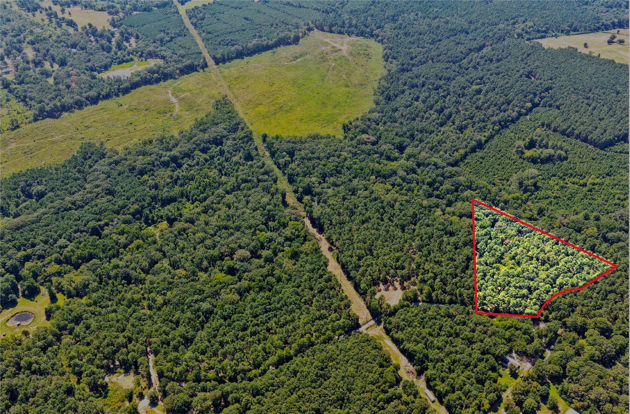 Unimproved Land For Sale in Camp County , Lot 1 County Road 1240, Pittsburg, Texas 75686, 0, 0, Garage spaces, 0 Sqft, built in 0, Price $87,805, mls#21355664, Real Estate Agent in Pittsburg, Homes For Sale in Camp county, Homes For Sale in Pittsburg, Realtor in Pittsburg Texas, Real Estate Brokerage Independent Realty Texas, Luminita Cordes Realtor