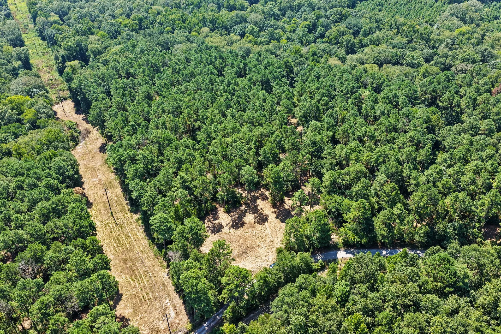 Unimproved Land For Sale in Camp County , Lot 1 County Road 1240, Pittsburg, Texas 75686, 0, 0, Garage spaces, 0 Sqft, built in 0, Price $87,805, mls#21355664, Real Estate Agent in Pittsburg, Homes For Sale in Camp county, Homes For Sale in Pittsburg, Realtor in Pittsburg Texas, Real Estate Brokerage Independent Realty Texas, Luminita Cordes Realtor