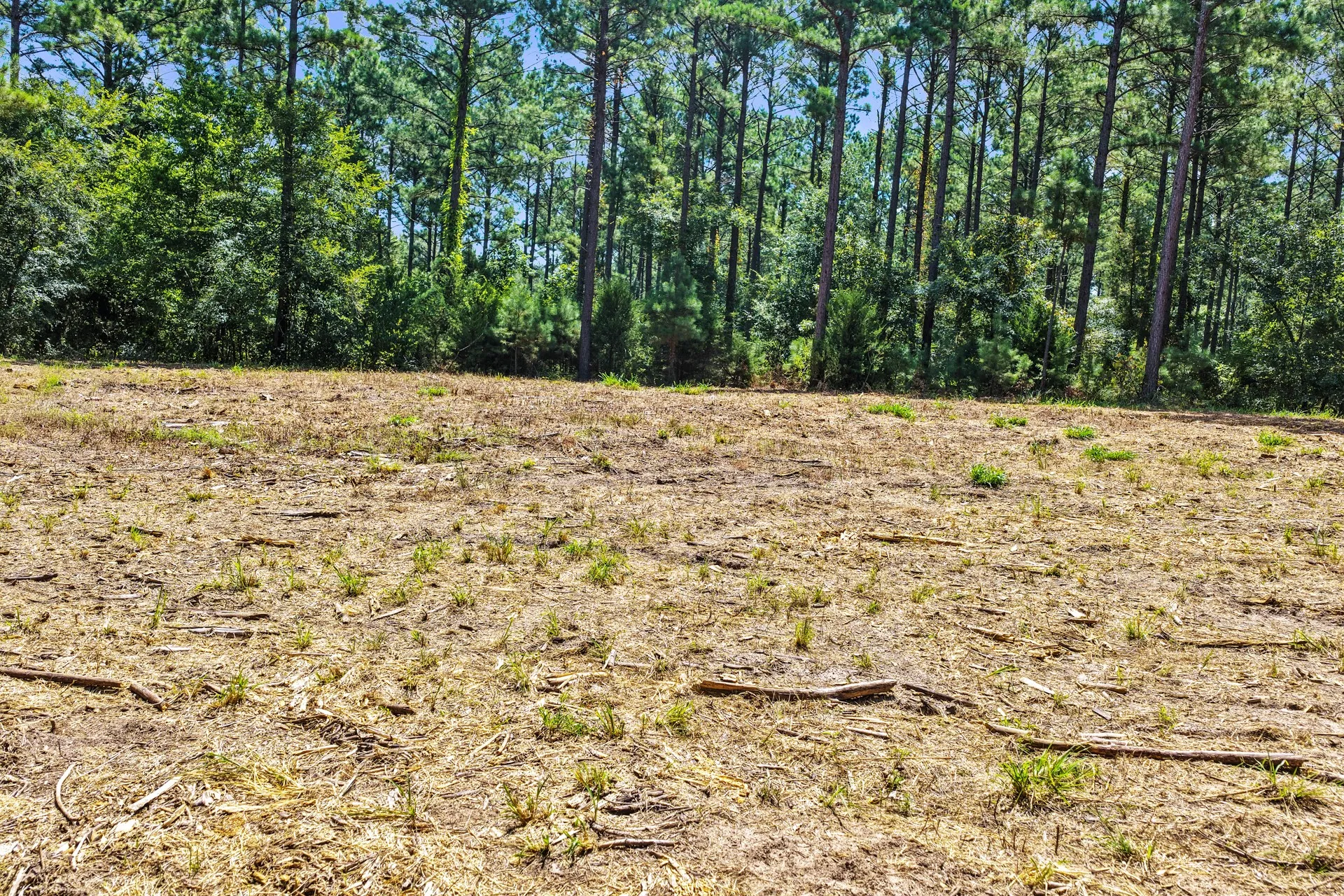 Unimproved Land For Sale in Camp County , Lot 1 County Road 1240, Pittsburg, Texas 75686, 0, 0, Garage spaces, 0 Sqft, built in 0, Price $87,805, mls#21355664, Real Estate Agent in Pittsburg, Homes For Sale in Camp county, Homes For Sale in Pittsburg, Realtor in Pittsburg Texas, Real Estate Brokerage Independent Realty Texas, Luminita Cordes Realtor