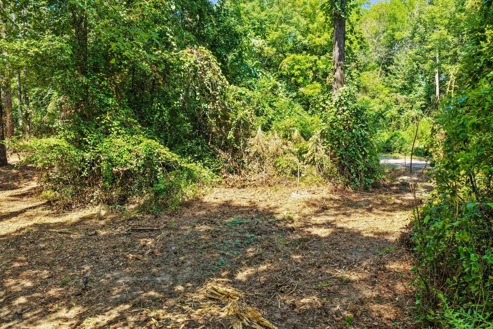 Unimproved Land For Sale in Camp County , Lot 1 County Road 1240, Pittsburg, Texas 75686, 0, 0, Garage spaces, 0 Sqft, built in 0, Price $87,805, mls#21355664, Real Estate Agent in Pittsburg, Homes For Sale in Camp county, Homes For Sale in Pittsburg, Realtor in Pittsburg Texas, Real Estate Brokerage Independent Realty Texas, Luminita Cordes Realtor