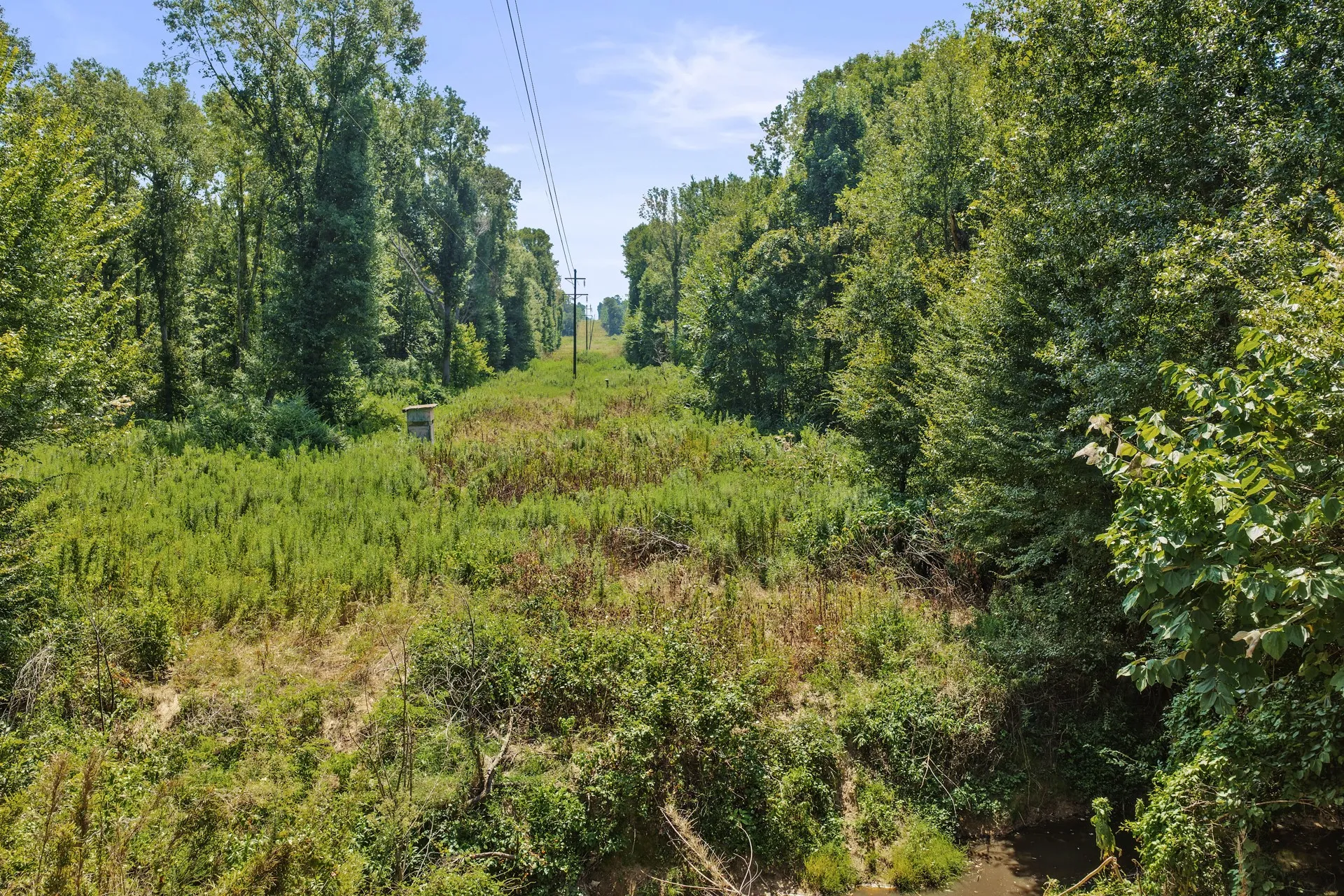Unimproved Land For Sale in Camp County , Lot 1 County Road 1240, Pittsburg, Texas 75686, 0, 0, Garage spaces, 0 Sqft, built in 0, Price $87,805, mls#21355664, Real Estate Agent in Pittsburg, Homes For Sale in Camp county, Homes For Sale in Pittsburg, Realtor in Pittsburg Texas, Real Estate Brokerage Independent Realty Texas, Luminita Cordes Realtor