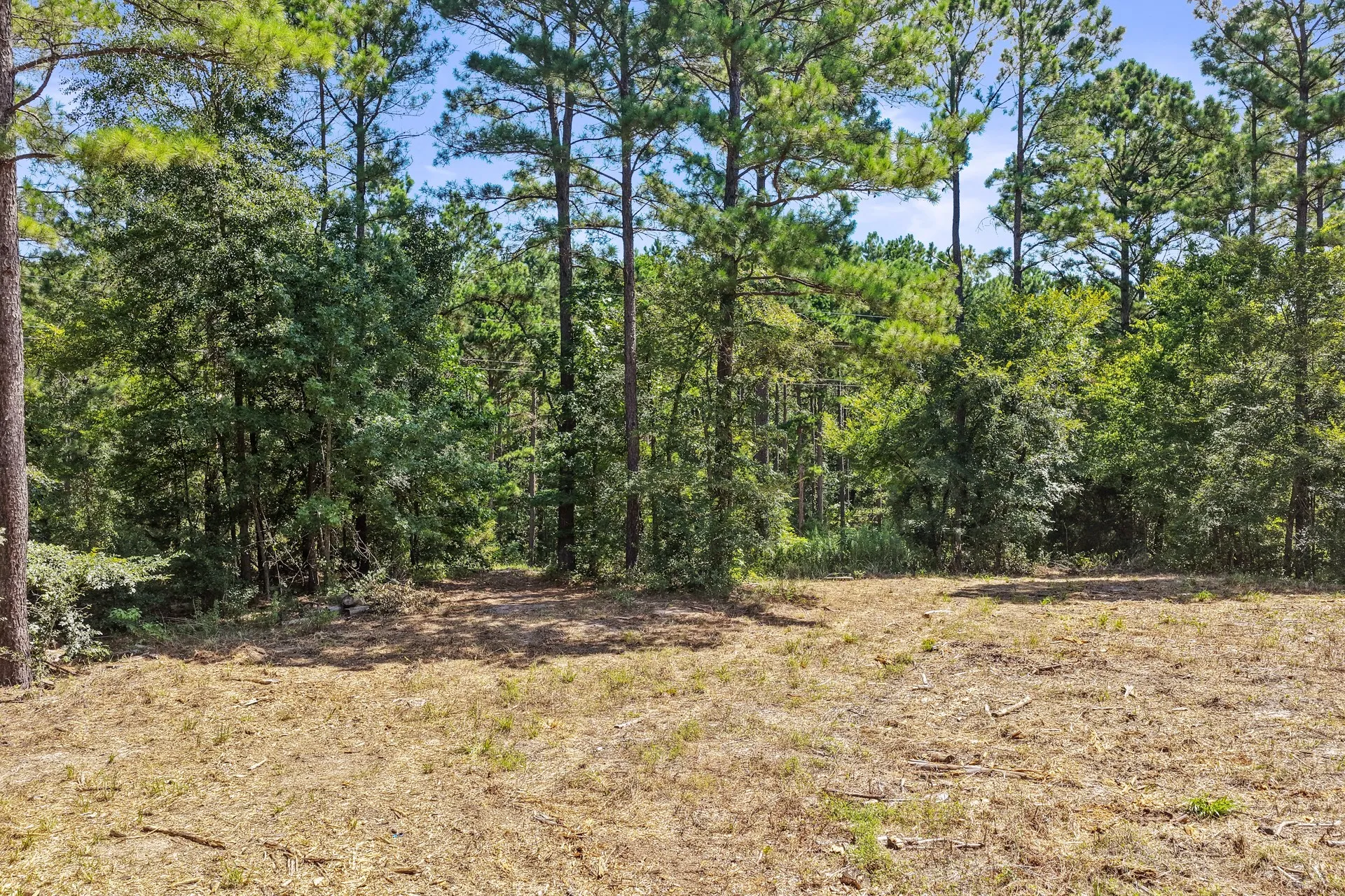 Unimproved Land For Sale in Camp County , Lot 1 County Road 1240, Pittsburg, Texas 75686, 0, 0, Garage spaces, 0 Sqft, built in 0, Price $87,805, mls#21355664, Real Estate Agent in Pittsburg, Homes For Sale in Camp county, Homes For Sale in Pittsburg, Realtor in Pittsburg Texas, Real Estate Brokerage Independent Realty Texas, Luminita Cordes Realtor