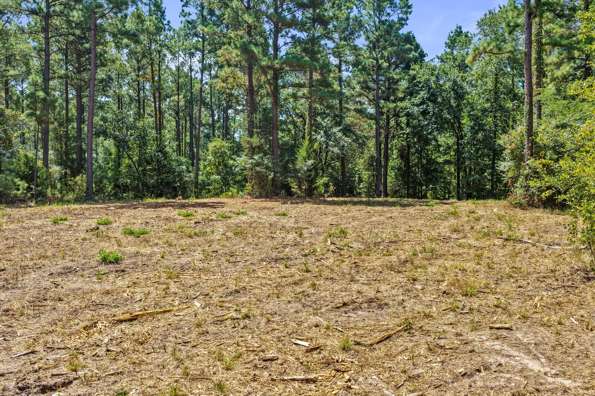 Unimproved Land For Sale in Camp County , Lot 1 County Road 1240, Pittsburg, Texas 75686, 0, 0, Garage spaces, 0 Sqft, built in 0, Price $87,805, mls#21355664, Real Estate Agent in Pittsburg, Homes For Sale in Camp county, Homes For Sale in Pittsburg, Realtor in Pittsburg Texas, Real Estate Brokerage Independent Realty Texas, Luminita Cordes Realtor