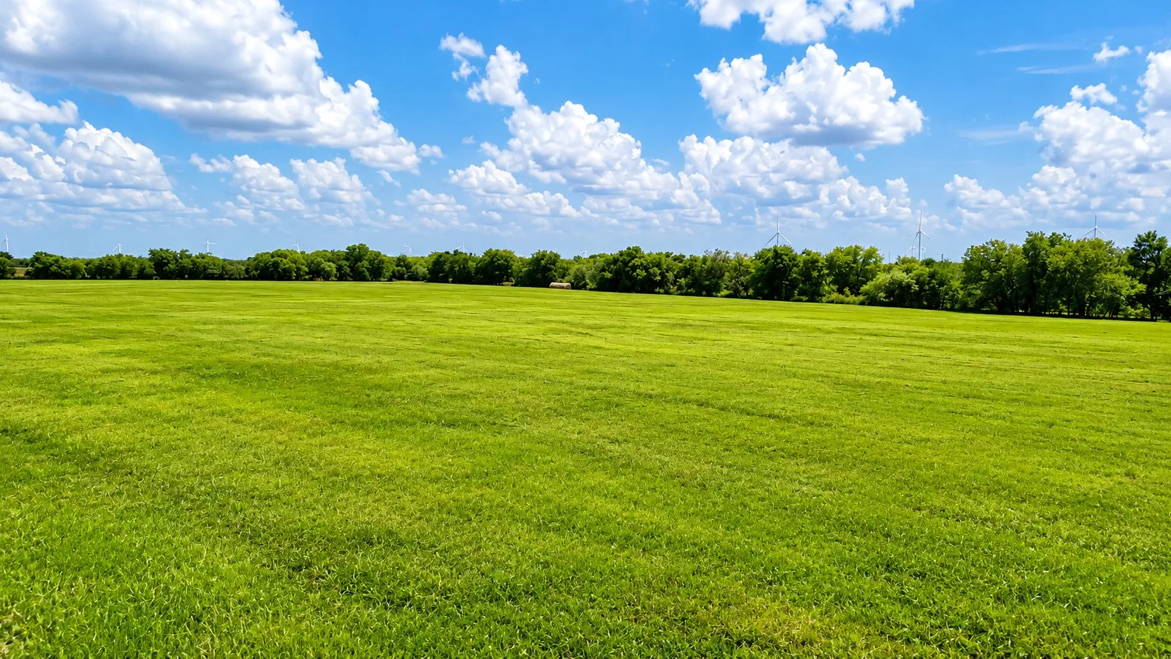 Unimproved Land For Sale in Hill County , 0 HC 3352/3363, Hubbard, Texas 76648, 0, 0, Garage spaces, 0 Sqft, built in 0, mls#21355670, Real Estate Agent in Hubbard, Homes For Sale in Hill county, Homes For Sale in Hubbard, Realtor in Hubbard Texas, Real Estate Brokerage Independent Realty Texas, Luminita Cordes Realtor