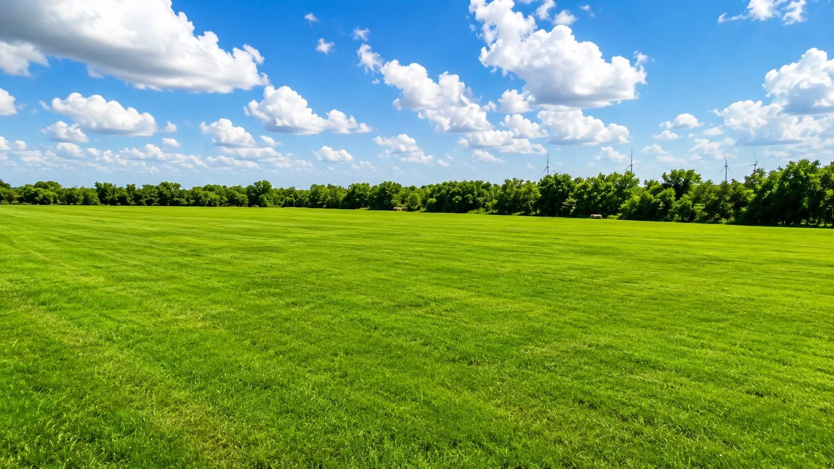 Unimproved Land For Sale in Hill County , 0 HC 3352/3363, Hubbard, Texas 76648, 0, 0, Garage spaces, 0 Sqft, built in 0, mls#21355670, Real Estate Agent in Hubbard, Homes For Sale in Hill county, Homes For Sale in Hubbard, Realtor in Hubbard Texas, Real Estate Brokerage Independent Realty Texas, Luminita Cordes Realtor
