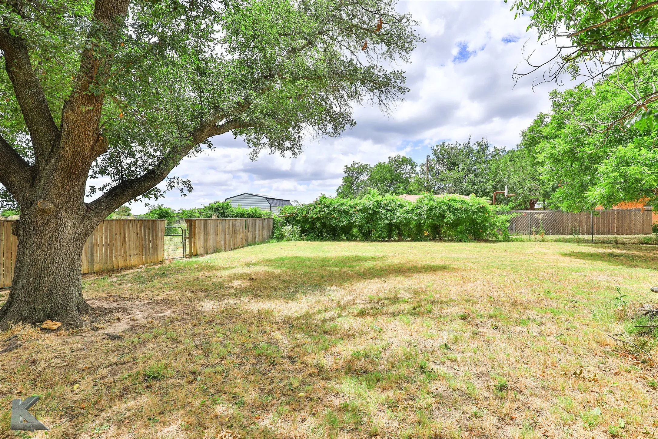 Expansive backyard with a mature shade tree, natural grass area, and wood privacy fencing