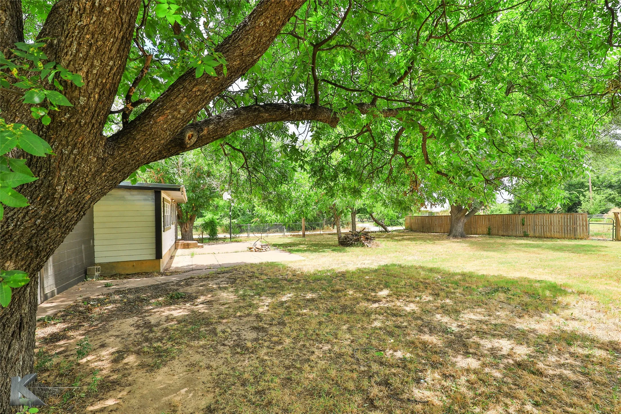 Expansive outdoor space featuring a mature tree, a wooden privacy fence, and a partial view of a shed with siding