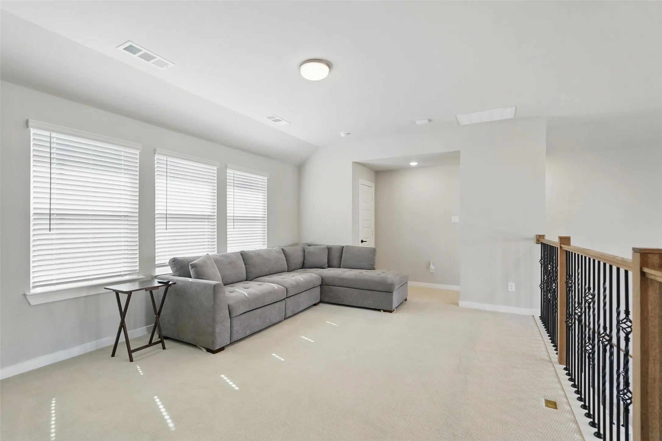 Bright open-concept space featuring multiple windows, a ceiling-mounted light fixture, and carpeted flooring