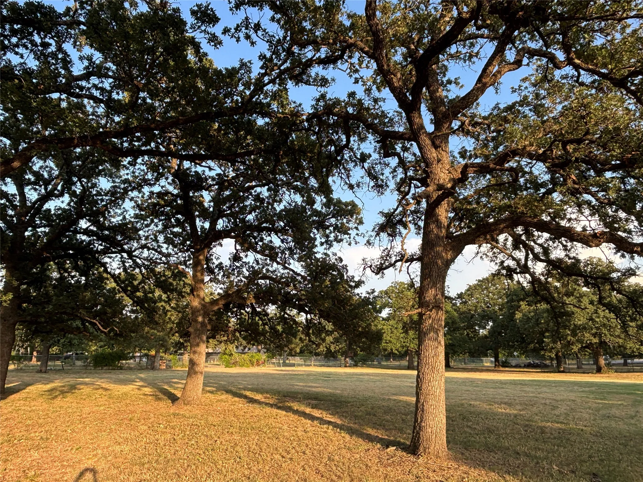 Unimproved Land For Sale in Tarrant County , 3749 Shelby Rd.-Tract 2, Fort Worth, Texas 76140, 0, 0, Garage spaces, 0 Sqft, built in 0, mls#21355427, Real Estate Agent in Fort Worth, Homes For Sale in Tarrant county, Homes For Sale in Fort Worth, Realtor in Fort Worth Texas, Real Estate Brokerage Independent Realty Texas, Luminita Cordes Realtor