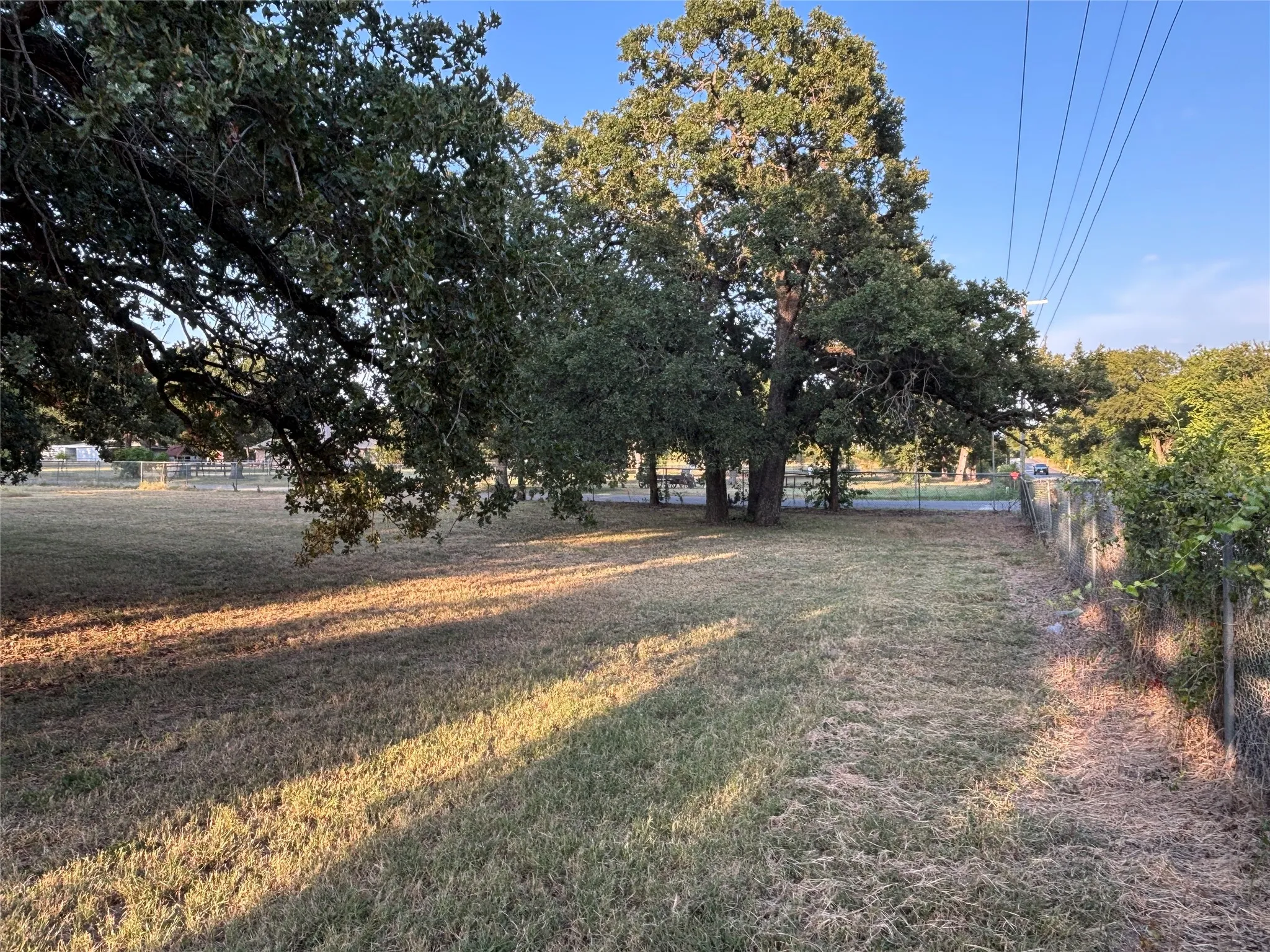 Mature Oaks and partial existing chain link fence
