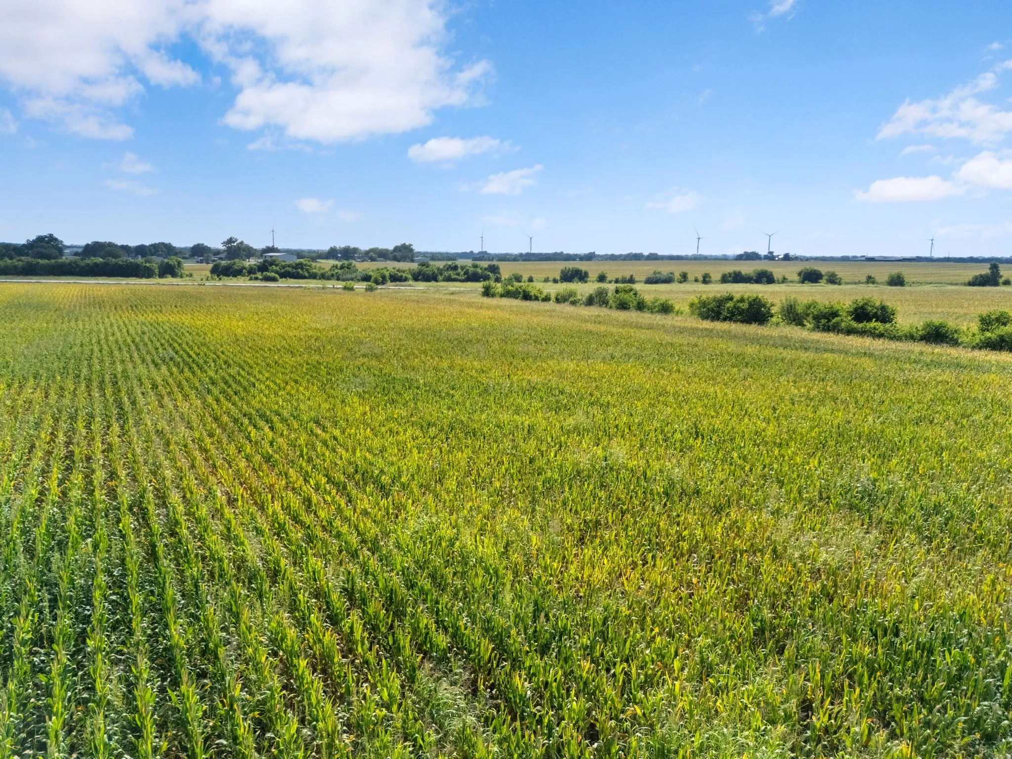 Unimproved Land For Sale in Mc Lennan County , 48.91.48 ac. TBD N County Line Parkway, Mart, Texas 76664, 0, 0, Garage spaces, 0 Sqft, built in 0, Price $488,000, mls#21355806, Real Estate Agent in Mart, Homes For Sale in Mc Lennan county, Homes For Sale in Mart, Realtor in Mart Texas, Real Estate Brokerage Independent Realty Texas, Luminita Cordes Realtor