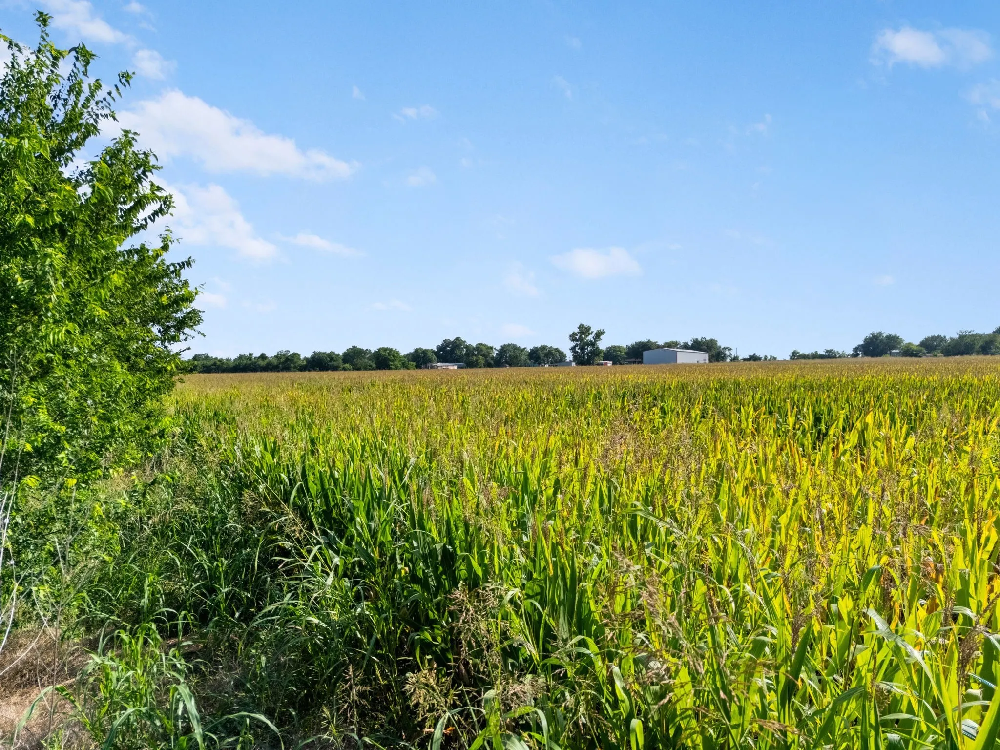 Unimproved Land For Sale in Mc Lennan County , 48.91.48 ac. TBD N County Line Parkway, Mart, Texas 76664, 0, 0, Garage spaces, 0 Sqft, built in 0, Price $488,000, mls#21355806, Real Estate Agent in Mart, Homes For Sale in Mc Lennan county, Homes For Sale in Mart, Realtor in Mart Texas, Real Estate Brokerage Independent Realty Texas, Luminita Cordes Realtor