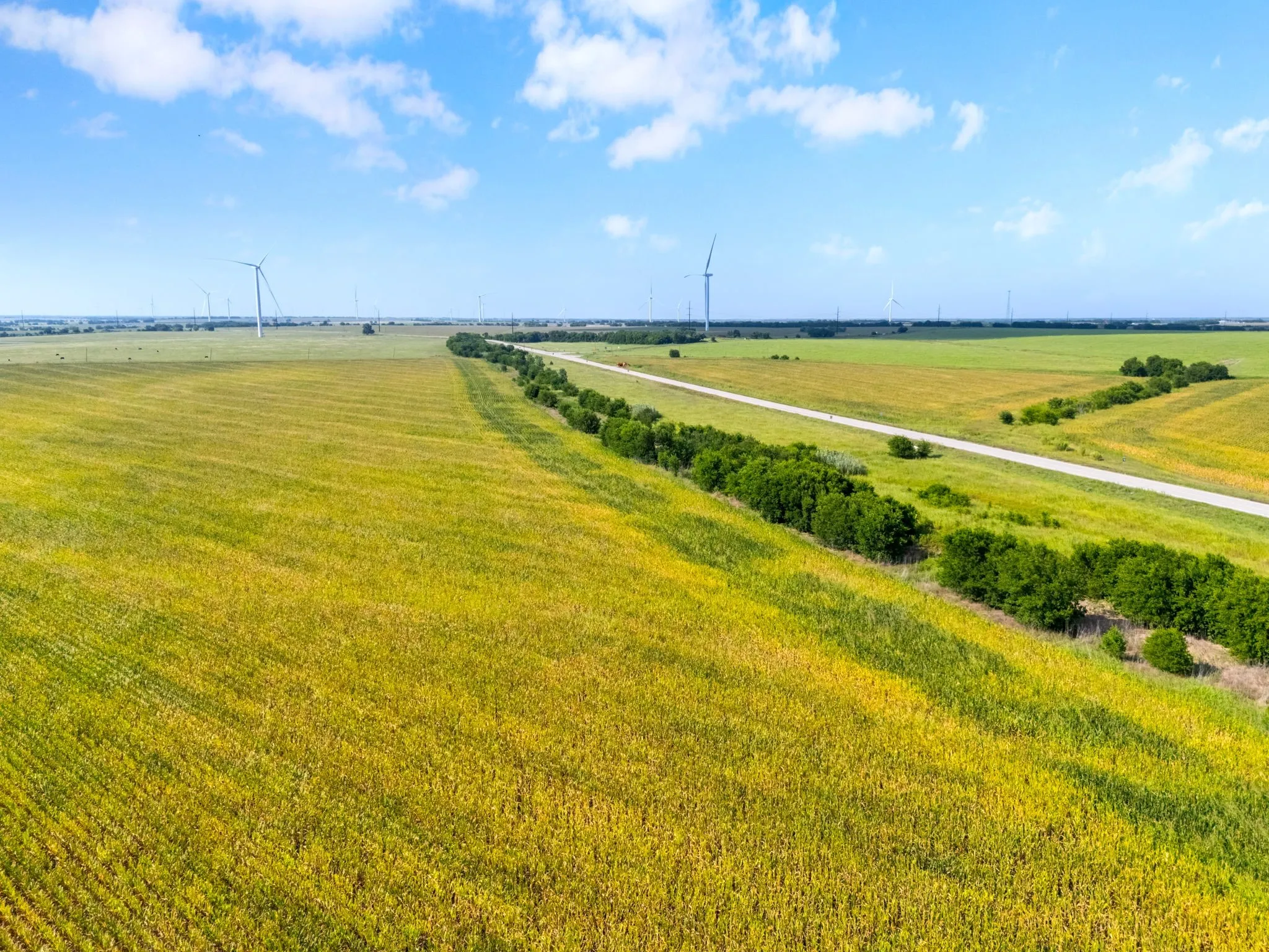 Unimproved Land For Sale in Mc Lennan County , 48.91.48 ac. TBD N County Line Parkway, Mart, Texas 76664, 0, 0, Garage spaces, 0 Sqft, built in 0, Price $488,000, mls#21355806, Real Estate Agent in Mart, Homes For Sale in Mc Lennan county, Homes For Sale in Mart, Realtor in Mart Texas, Real Estate Brokerage Independent Realty Texas, Luminita Cordes Realtor