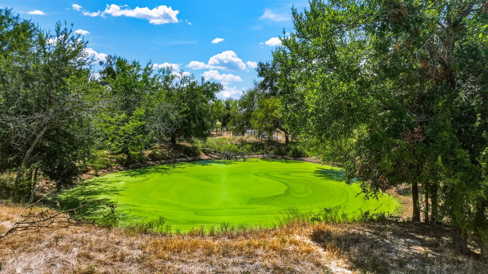 Farm For Sale in Parker County , 4277 N Fm 52, Weatherford, Texas 76088, 3 Bedroom, 2 Bathroom, 2 Garage spaces, 2,096 Sqft, built in 2018, Price $649,900, mls#21355007, Real Estate Agent in Weatherford, Homes For Sale in Parker county, Homes For Sale in Weatherford, Realtor in Weatherford Texas, Real Estate Brokerage Independent Realty Texas, Luminita Cordes Realtor