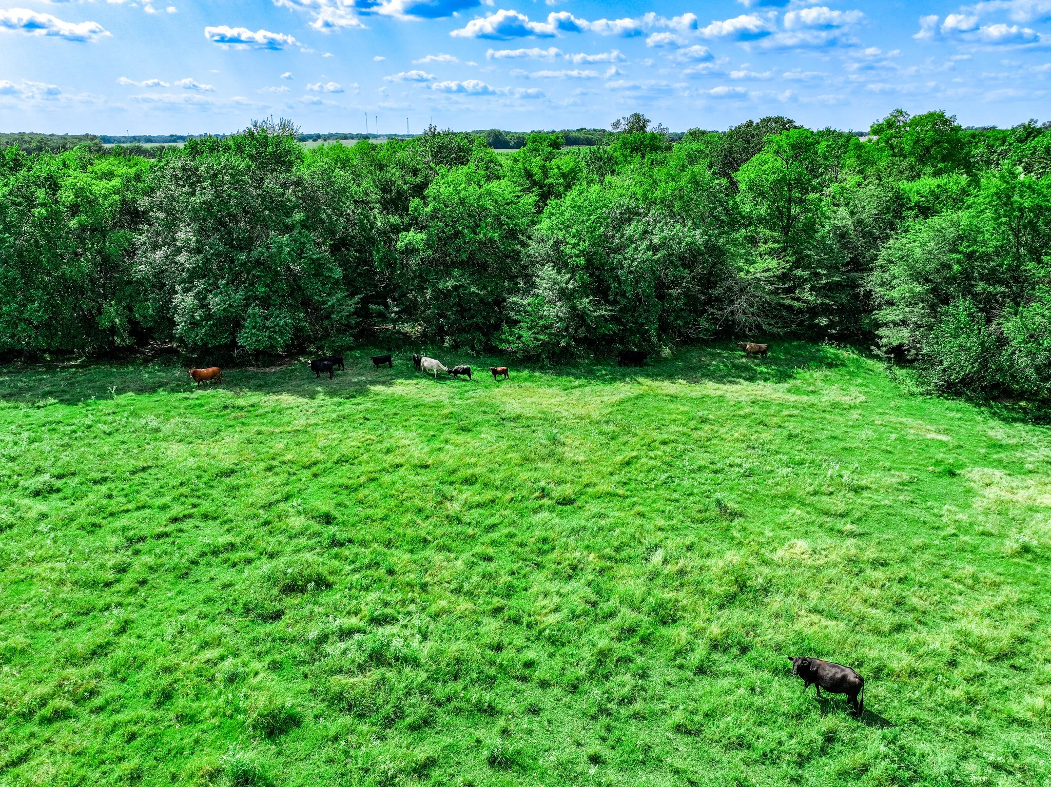 Single Family Residence For Sale in Hopkins County , 7801 W Interstate Highway 30, Cumby, Texas 75433, 3 Bedrooms, 2 Bathrooms, Garage spaces, 1,660 Sqft, built in 1977, Price $999,900, mls#21355793, Real Estate Agent in Cumby, Homes For Sale in Hopkins county, Homes For Sale in Cumby, Realtor in Cumby Texas, Real Estate Brokerage Independent Realty Texas, Luminita Cordes Realtor
