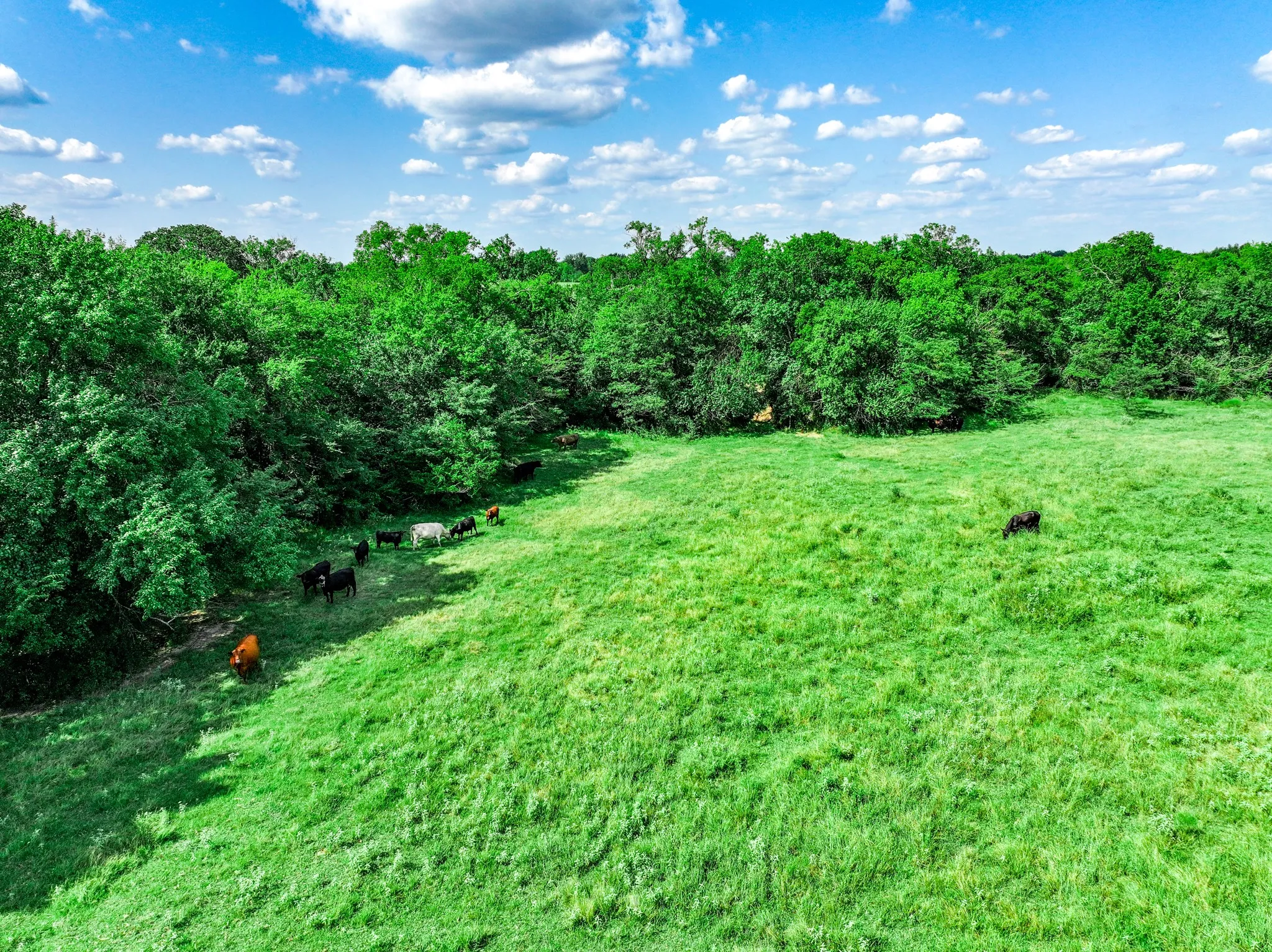 Single Family Residence For Sale in Hopkins County , 7801 W Interstate Highway 30, Cumby, Texas 75433, 3 Bedrooms, 2 Bathrooms, Garage spaces, 1,660 Sqft, built in 1977, Price $999,900, mls#21355793, Real Estate Agent in Cumby, Homes For Sale in Hopkins county, Homes For Sale in Cumby, Realtor in Cumby Texas, Real Estate Brokerage Independent Realty Texas, Luminita Cordes Realtor