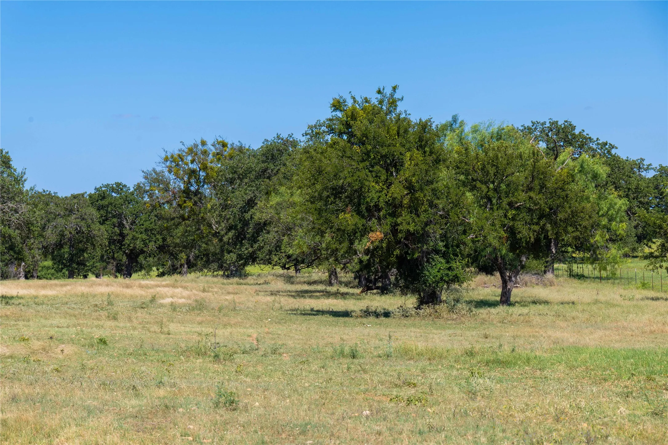 Ranch For Sale in Mills County , 90 S PR 444, No City, Texas 76864, 0, 0, Garage spaces, 0 Sqft, built in 0, mls#21347385, Real Estate Agent in No City, Homes For Sale in Mills county, Homes For Sale in No City, Realtor in No City Texas, Real Estate Brokerage Independent Realty Texas, Luminita Cordes Realtor