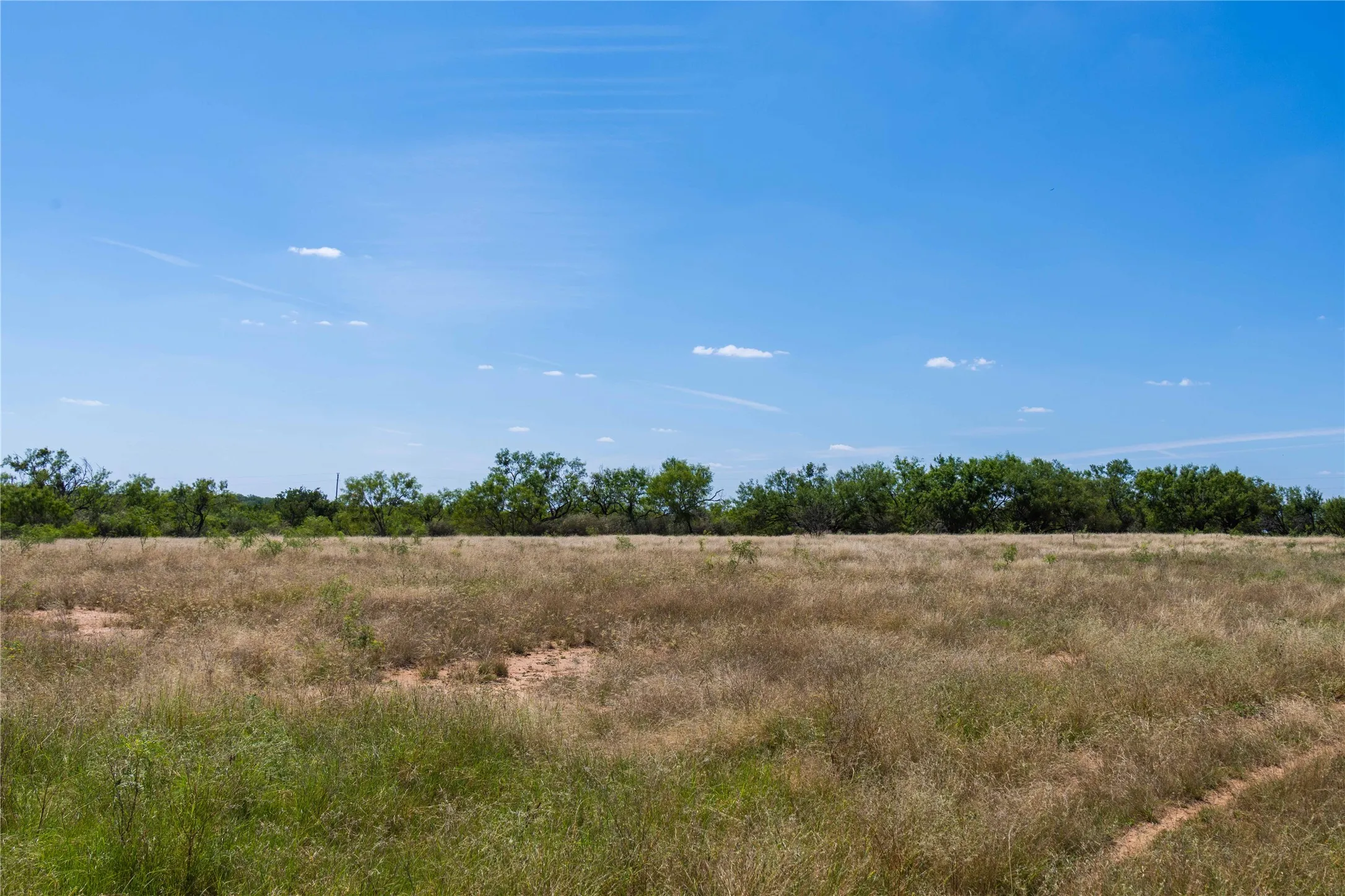 Some open land between the two homes for grazing