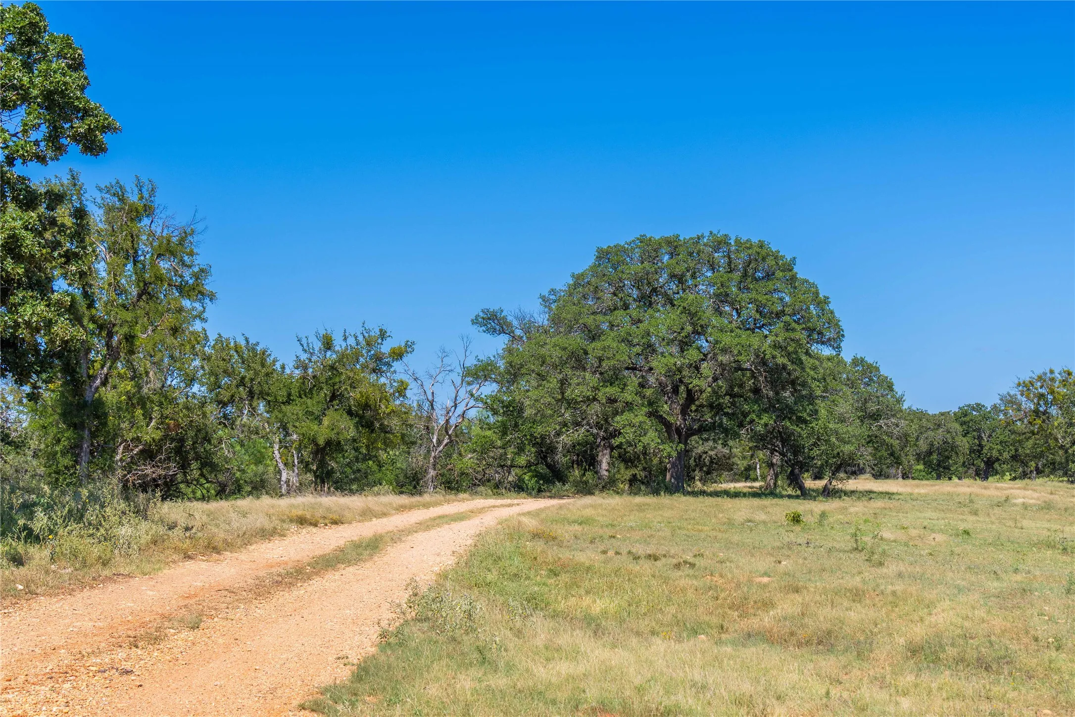 Ranch For Sale in Mills County , 90 S PR 444, No City, Texas 76864, 0, 0, Garage spaces, 0 Sqft, built in 0, mls#21347385, Real Estate Agent in No City, Homes For Sale in Mills county, Homes For Sale in No City, Realtor in No City Texas, Real Estate Brokerage Independent Realty Texas, Luminita Cordes Realtor