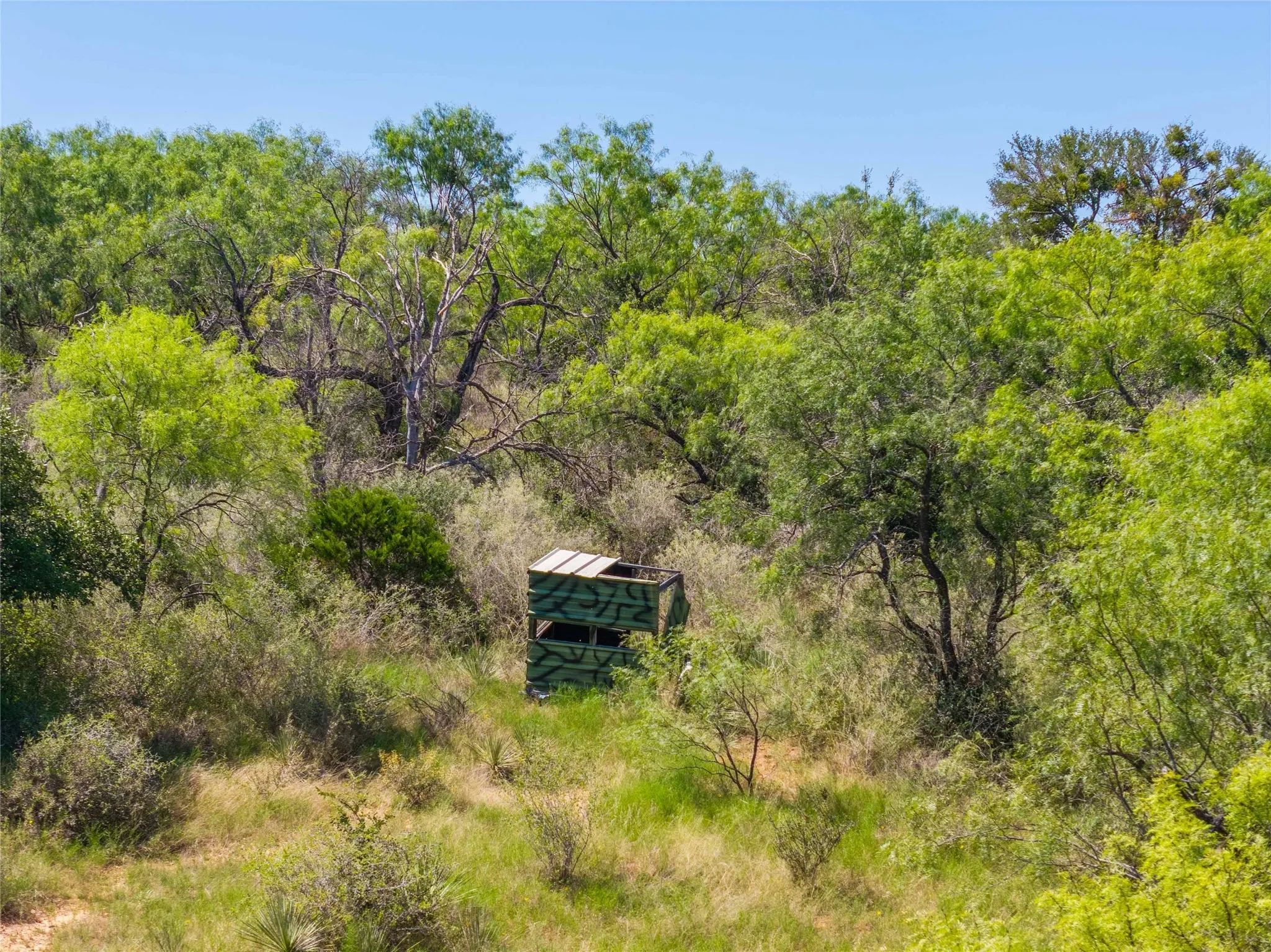 Ranch For Sale in Mills County , 90 S PR 444, No City, Texas 76864, 0, 0, Garage spaces, 0 Sqft, built in 0, mls#21347385, Real Estate Agent in No City, Homes For Sale in Mills county, Homes For Sale in No City, Realtor in No City Texas, Real Estate Brokerage Independent Realty Texas, Luminita Cordes Realtor
