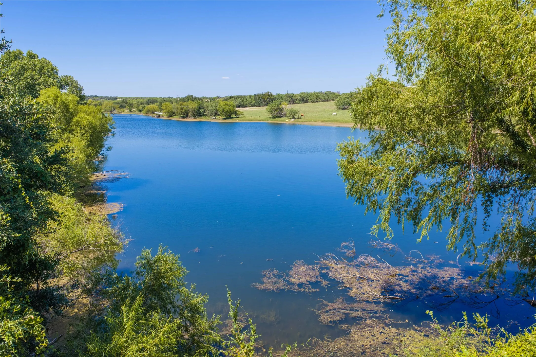 Ranch For Sale in Mills County , 90 S PR 444, No City, Texas 76864, 0, 0, Garage spaces, 0 Sqft, built in 0, mls#21347385, Real Estate Agent in No City, Homes For Sale in Mills county, Homes For Sale in No City, Realtor in No City Texas, Real Estate Brokerage Independent Realty Texas, Luminita Cordes Realtor