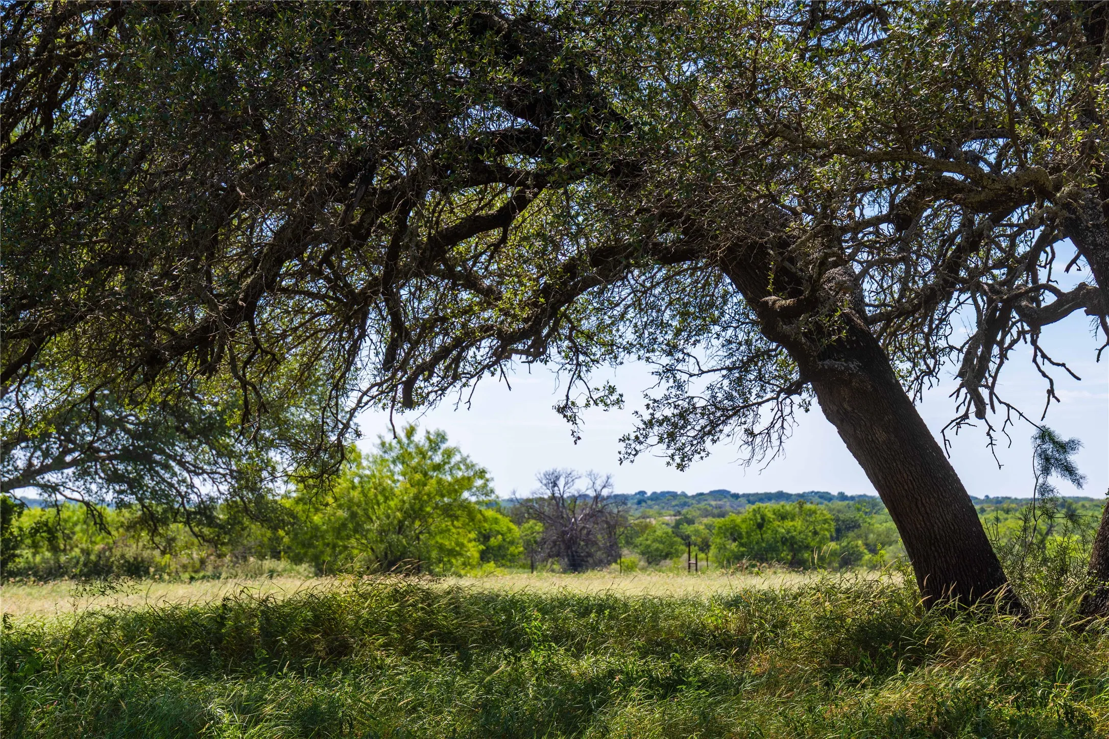 Ranch For Sale in Mills County , 90 S PR 444, No City, Texas 76864, 0, 0, Garage spaces, 0 Sqft, built in 0, mls#21347385, Real Estate Agent in No City, Homes For Sale in Mills county, Homes For Sale in No City, Realtor in No City Texas, Real Estate Brokerage Independent Realty Texas, Luminita Cordes Realtor