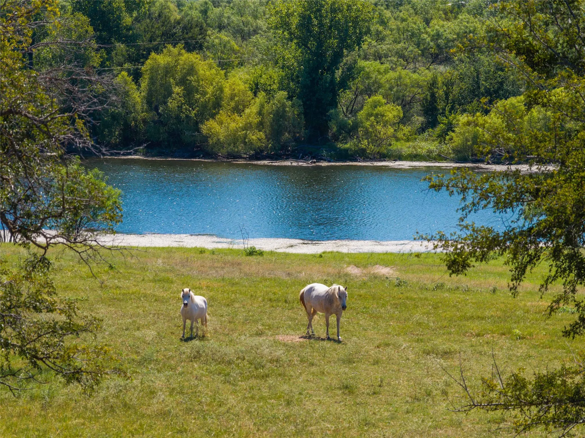 Ranch For Sale in Mills County , 90 S PR 444, No City, Texas 76864, 0, 0, Garage spaces, 0 Sqft, built in 0, mls#21347385, Real Estate Agent in No City, Homes For Sale in Mills county, Homes For Sale in No City, Realtor in No City Texas, Real Estate Brokerage Independent Realty Texas, Luminita Cordes Realtor