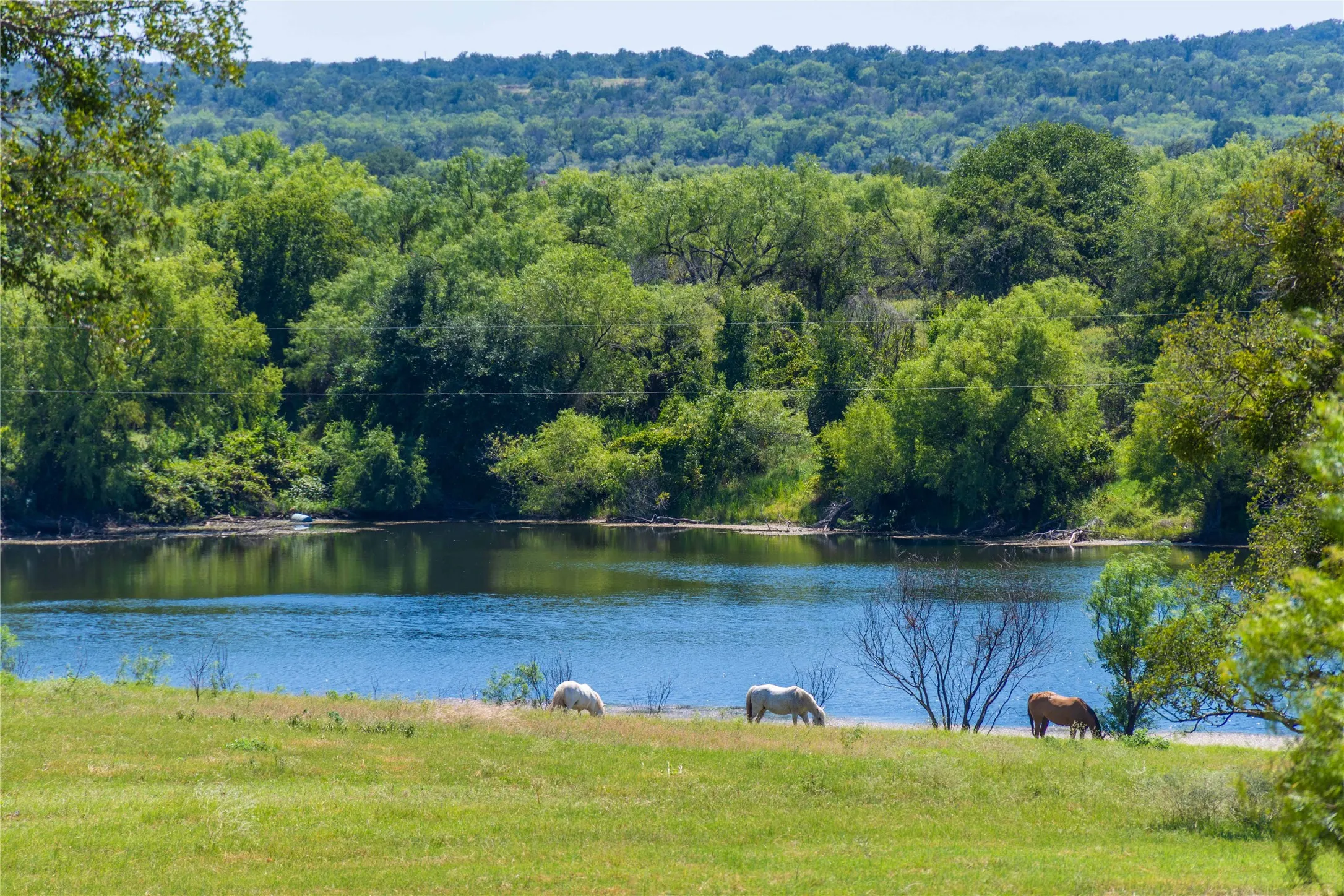 Ranch For Sale in Mills County , 90 S PR 444, No City, Texas 76864, 0, 0, Garage spaces, 0 Sqft, built in 0, mls#21347385, Real Estate Agent in No City, Homes For Sale in Mills county, Homes For Sale in No City, Realtor in No City Texas, Real Estate Brokerage Independent Realty Texas, Luminita Cordes Realtor