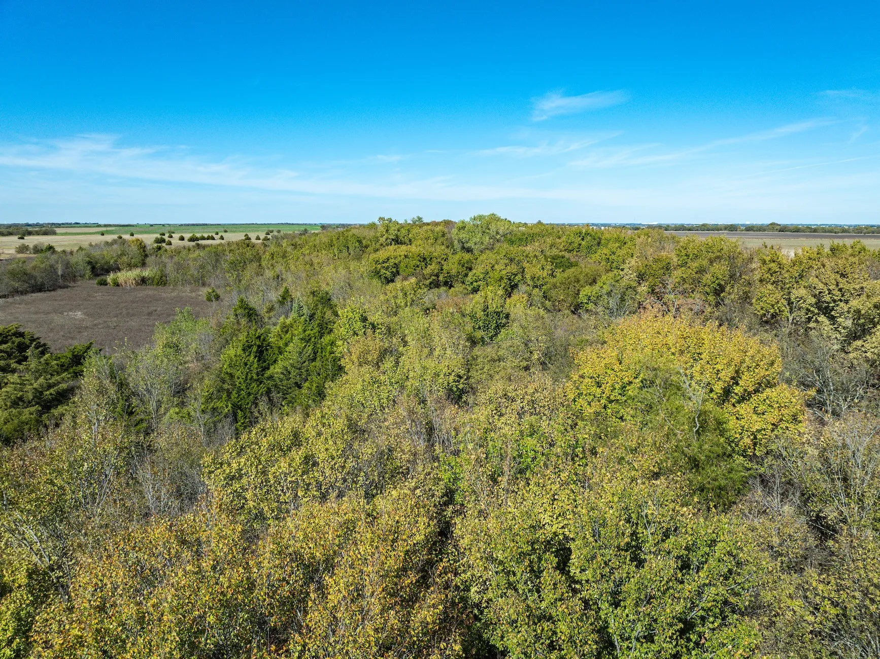 Unimproved Land For Sale in Ellis County , TBD Lot 2 Grainery Road, Waxahachie, Texas 75167, 0, 0, Garage spaces, 0 Sqft, built in 0, Price $140,000, mls#21355884, Real Estate Agent in Waxahachie, Homes For Sale in Ellis county, Homes For Sale in Waxahachie, Realtor in Waxahachie Texas, Real Estate Brokerage Independent Realty Texas, Luminita Cordes Realtor