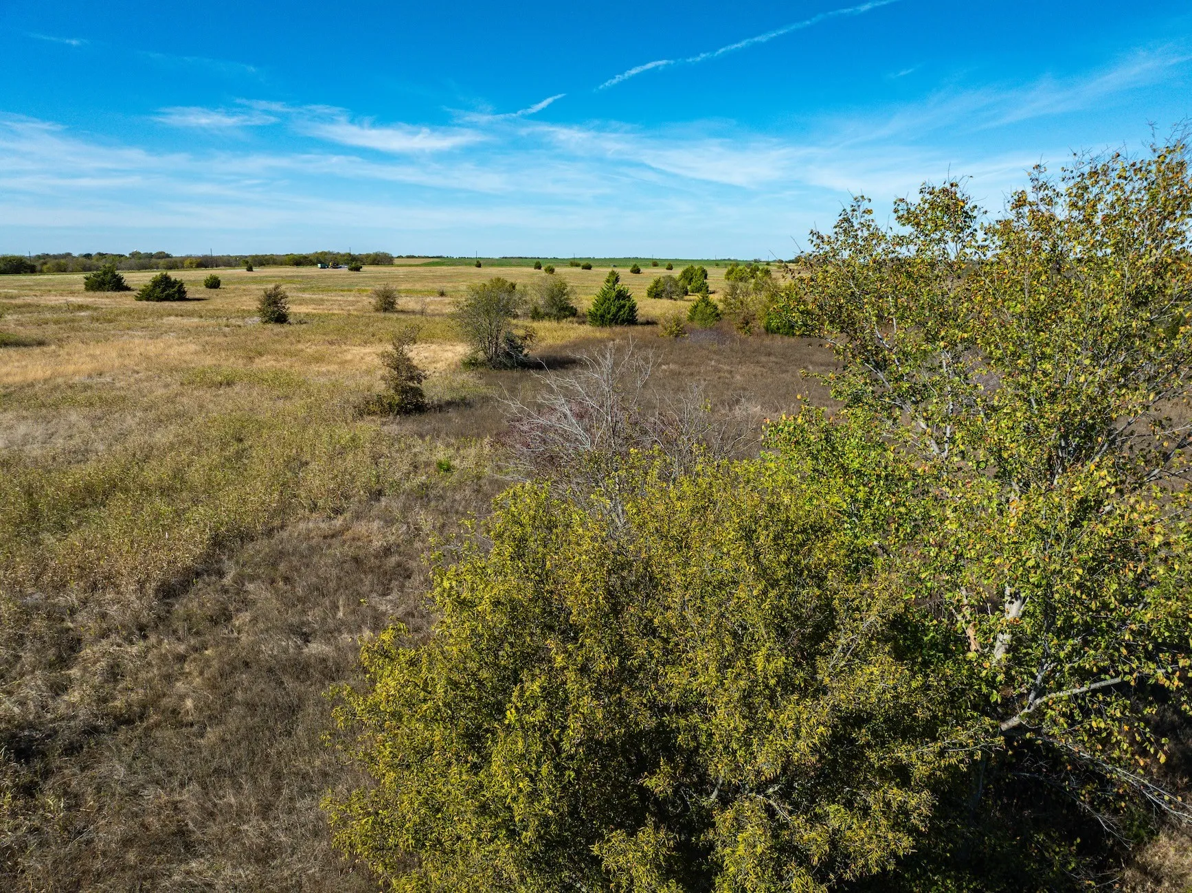 Unimproved Land For Sale in Ellis County , TBD Lot 2 Grainery Road, Waxahachie, Texas 75167, 0, 0, Garage spaces, 0 Sqft, built in 0, Price $140,000, mls#21355884, Real Estate Agent in Waxahachie, Homes For Sale in Ellis county, Homes For Sale in Waxahachie, Realtor in Waxahachie Texas, Real Estate Brokerage Independent Realty Texas, Luminita Cordes Realtor