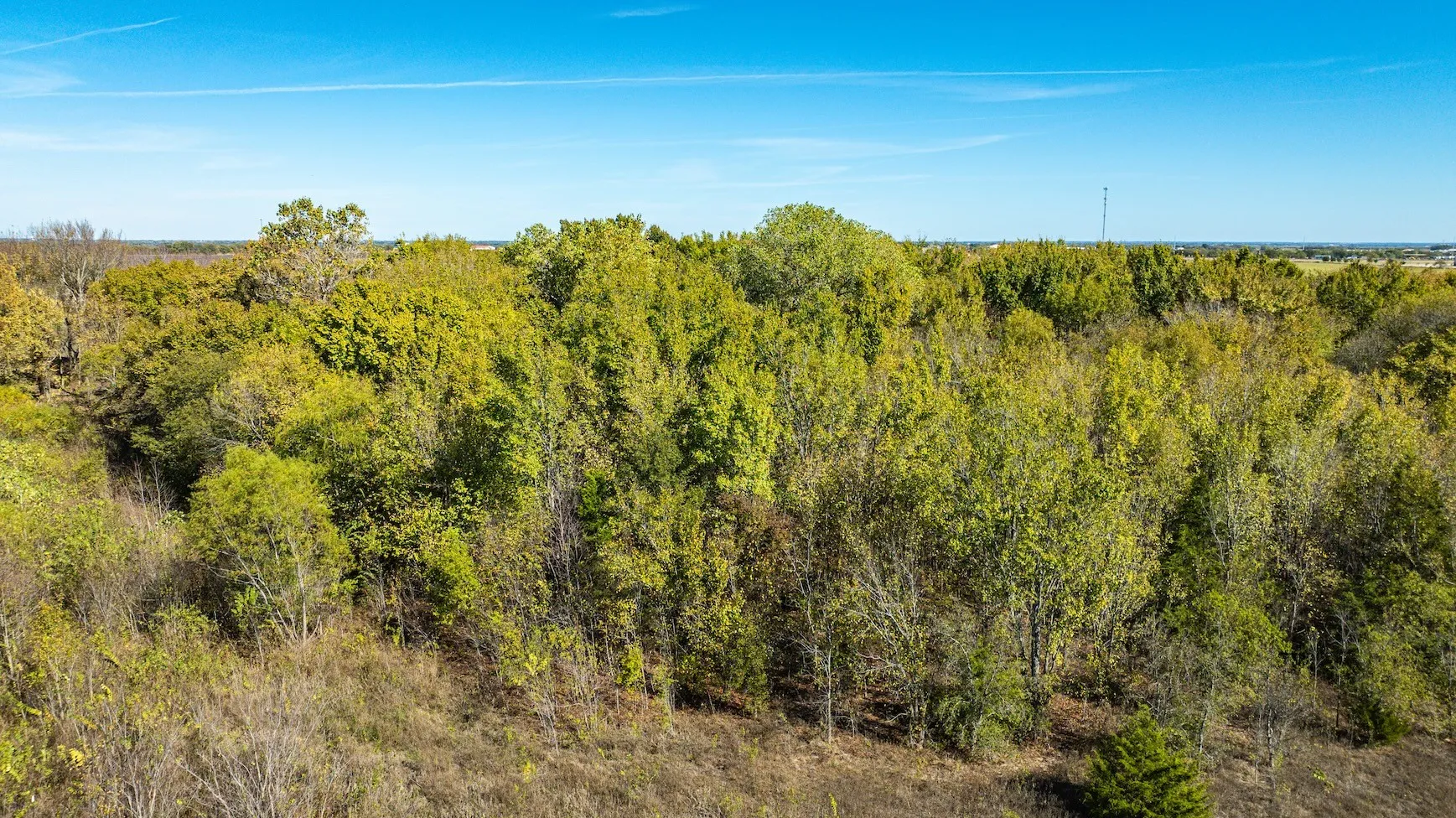 Unimproved Land For Sale in Ellis County , TBD Lot 2 Grainery Road, Waxahachie, Texas 75167, 0, 0, Garage spaces, 0 Sqft, built in 0, Price $140,000, mls#21355884, Real Estate Agent in Waxahachie, Homes For Sale in Ellis county, Homes For Sale in Waxahachie, Realtor in Waxahachie Texas, Real Estate Brokerage Independent Realty Texas, Luminita Cordes Realtor