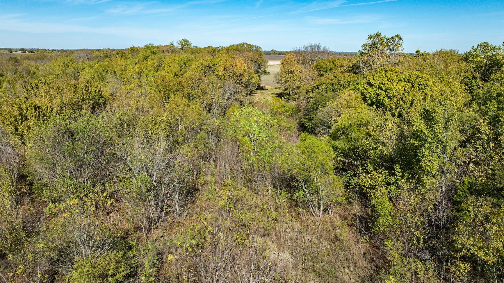 Unimproved Land For Sale in Ellis County , TBD Lot 2 Grainery Road, Waxahachie, Texas 75167, 0, 0, Garage spaces, 0 Sqft, built in 0, Price $140,000, mls#21355884, Real Estate Agent in Waxahachie, Homes For Sale in Ellis county, Homes For Sale in Waxahachie, Realtor in Waxahachie Texas, Real Estate Brokerage Independent Realty Texas, Luminita Cordes Realtor