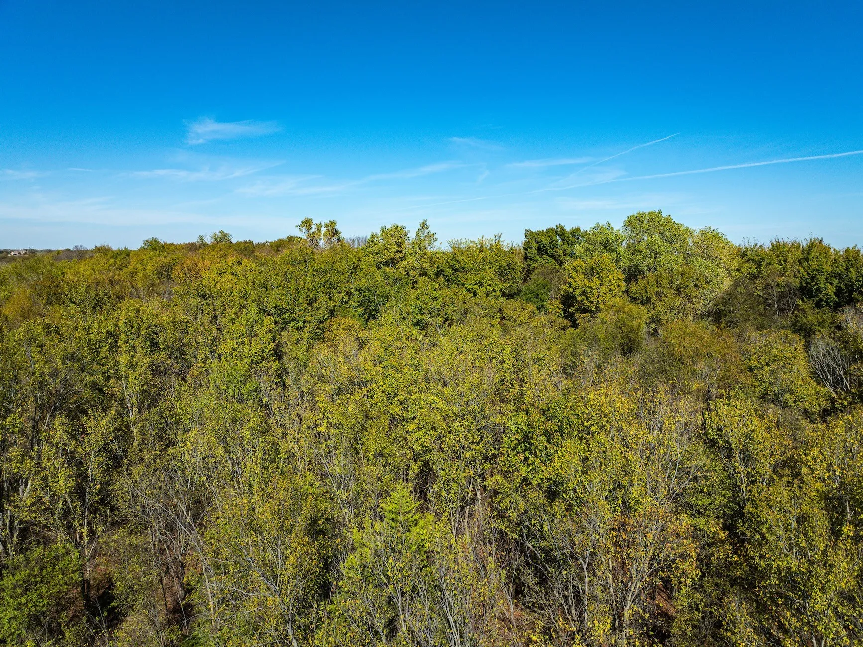 Unimproved Land For Sale in Ellis County , TBD Lot 2 Grainery Road, Waxahachie, Texas 75167, 0, 0, Garage spaces, 0 Sqft, built in 0, Price $140,000, mls#21355884, Real Estate Agent in Waxahachie, Homes For Sale in Ellis county, Homes For Sale in Waxahachie, Realtor in Waxahachie Texas, Real Estate Brokerage Independent Realty Texas, Luminita Cordes Realtor