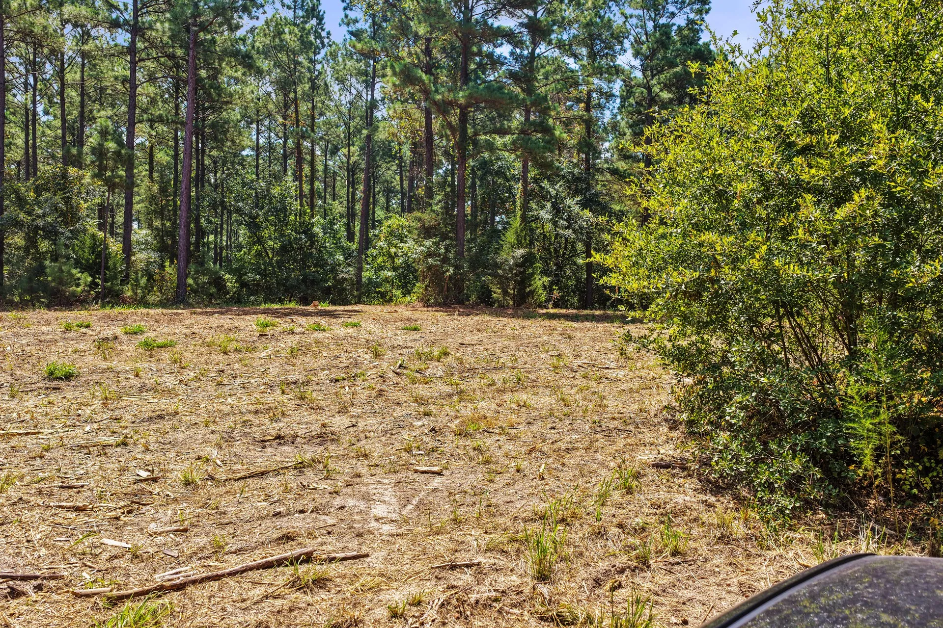 Unimproved Land For Sale in Camp County , Lot 2 County Road 1240, Pittsburg, Texas 75686, 0, 0, Garage spaces, 0 Sqft, built in 0, Price $90,950, mls#21355730, Real Estate Agent in Pittsburg, Homes For Sale in Camp county, Homes For Sale in Pittsburg, Realtor in Pittsburg Texas, Real Estate Brokerage Independent Realty Texas, Luminita Cordes Realtor