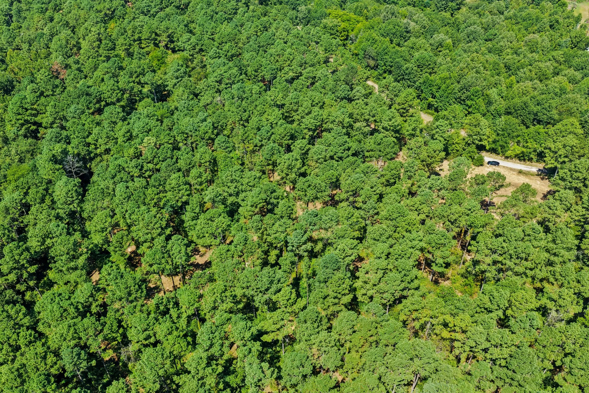 Unimproved Land For Sale in Camp County , Lot 2 County Road 1240, Pittsburg, Texas 75686, 0, 0, Garage spaces, 0 Sqft, built in 0, Price $90,950, mls#21355730, Real Estate Agent in Pittsburg, Homes For Sale in Camp county, Homes For Sale in Pittsburg, Realtor in Pittsburg Texas, Real Estate Brokerage Independent Realty Texas, Luminita Cordes Realtor