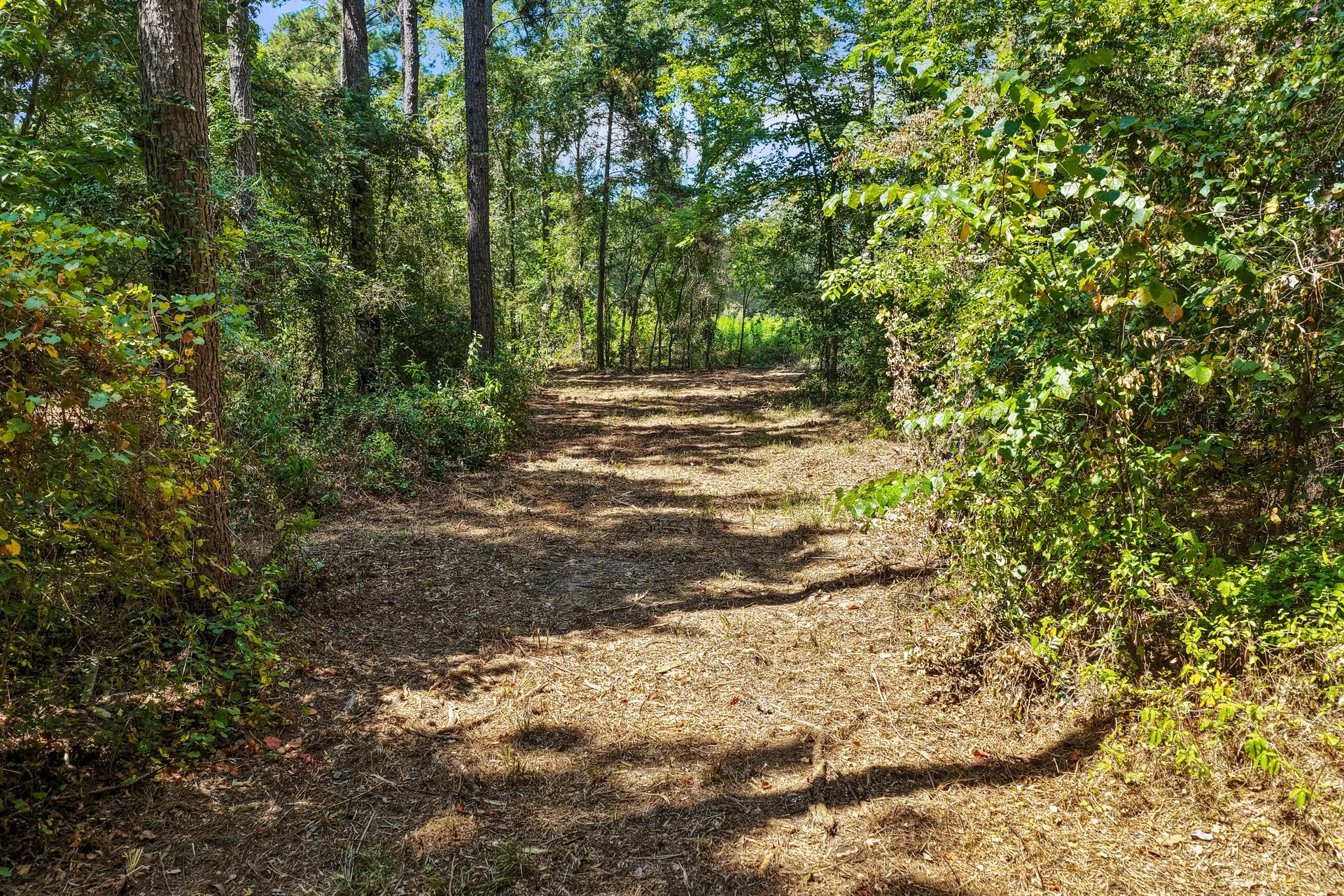 Unimproved Land For Sale in Camp County , Lot 2 County Road 1240, Pittsburg, Texas 75686, 0, 0, Garage spaces, 0 Sqft, built in 0, Price $90,950, mls#21355730, Real Estate Agent in Pittsburg, Homes For Sale in Camp county, Homes For Sale in Pittsburg, Realtor in Pittsburg Texas, Real Estate Brokerage Independent Realty Texas, Luminita Cordes Realtor