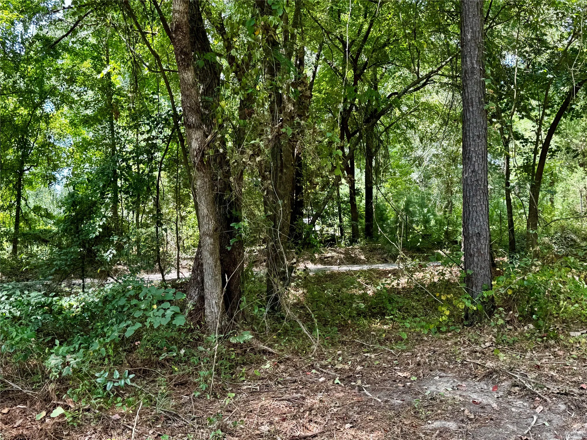 Unimproved Land For Sale in Camp County , Lot 2 County Road 1240, Pittsburg, Texas 75686, 0, 0, Garage spaces, 0 Sqft, built in 0, Price $90,950, mls#21355730, Real Estate Agent in Pittsburg, Homes For Sale in Camp county, Homes For Sale in Pittsburg, Realtor in Pittsburg Texas, Real Estate Brokerage Independent Realty Texas, Luminita Cordes Realtor