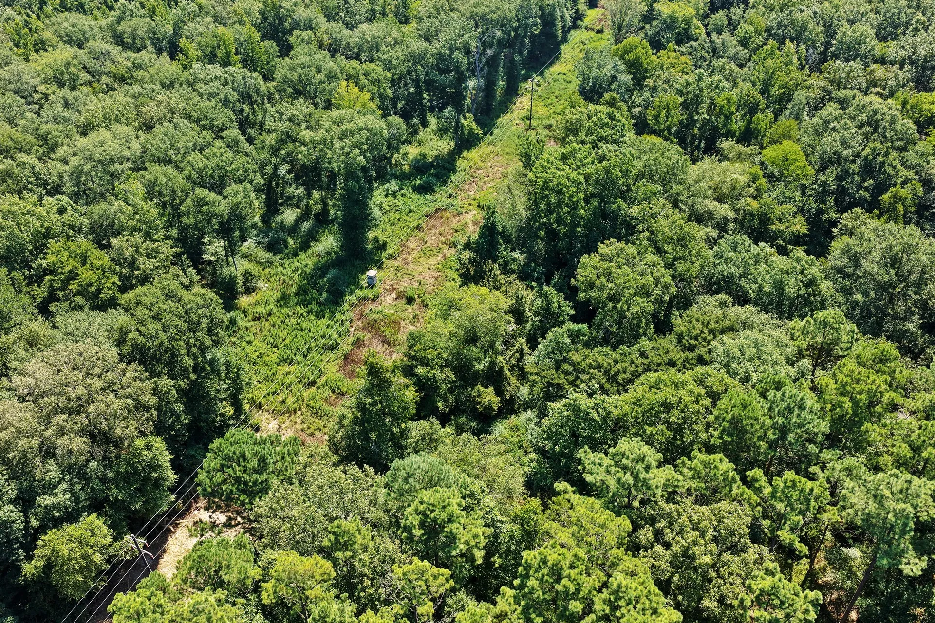 Unimproved Land For Sale in Camp County , Lot 2 County Road 1240, Pittsburg, Texas 75686, 0, 0, Garage spaces, 0 Sqft, built in 0, Price $90,950, mls#21355730, Real Estate Agent in Pittsburg, Homes For Sale in Camp county, Homes For Sale in Pittsburg, Realtor in Pittsburg Texas, Real Estate Brokerage Independent Realty Texas, Luminita Cordes Realtor