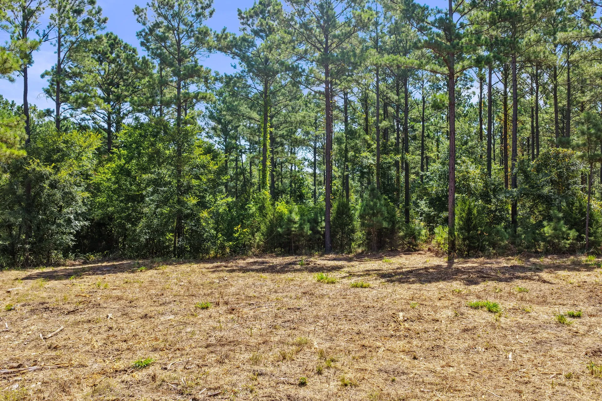 Unimproved Land For Sale in Camp County , Lot 2 County Road 1240, Pittsburg, Texas 75686, 0, 0, Garage spaces, 0 Sqft, built in 0, Price $90,950, mls#21355730, Real Estate Agent in Pittsburg, Homes For Sale in Camp county, Homes For Sale in Pittsburg, Realtor in Pittsburg Texas, Real Estate Brokerage Independent Realty Texas, Luminita Cordes Realtor
