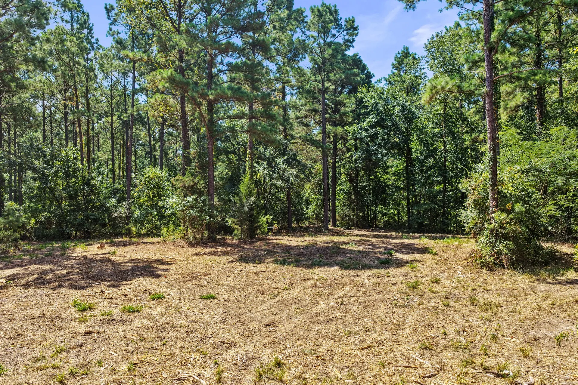 Unimproved Land For Sale in Camp County , Lot 2 County Road 1240, Pittsburg, Texas 75686, 0, 0, Garage spaces, 0 Sqft, built in 0, Price $90,950, mls#21355730, Real Estate Agent in Pittsburg, Homes For Sale in Camp county, Homes For Sale in Pittsburg, Realtor in Pittsburg Texas, Real Estate Brokerage Independent Realty Texas, Luminita Cordes Realtor